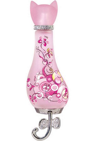 Pink Garden by Novae Plus perfume bottle