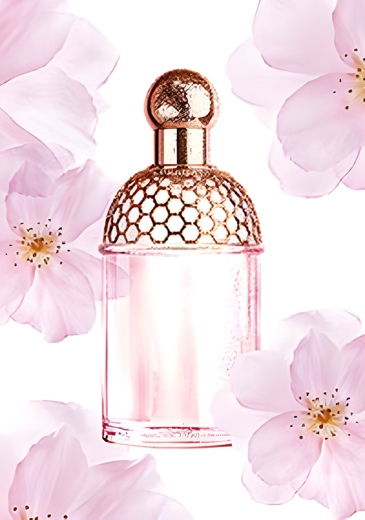 Aqua Allegoria Cherry Blossom by Guerlain perfume bottle