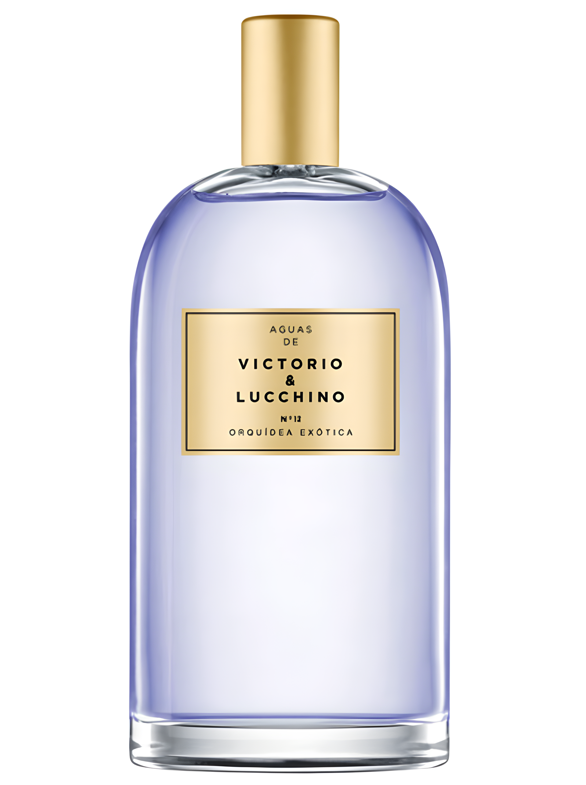 Nº 12 Orquidea Exotica Exotic Orchid by Victorio & Lucchino perfume bottle
