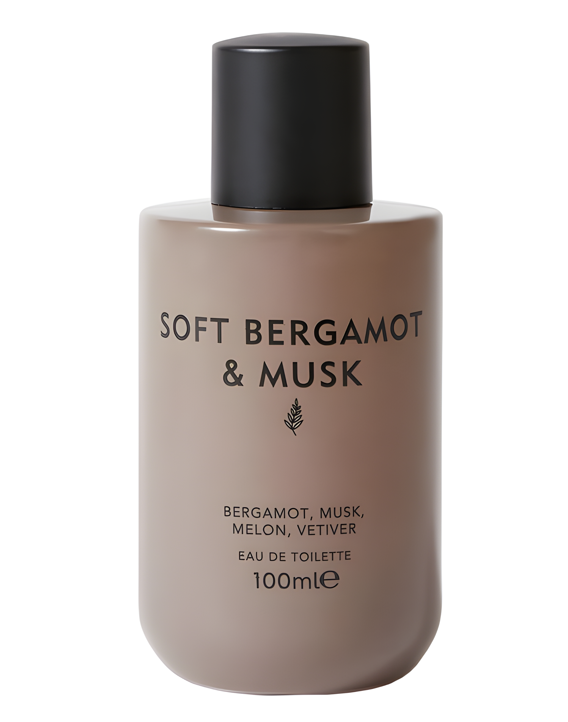 Soft Bergamot & Musk by Marks & Spencer perfume bottle