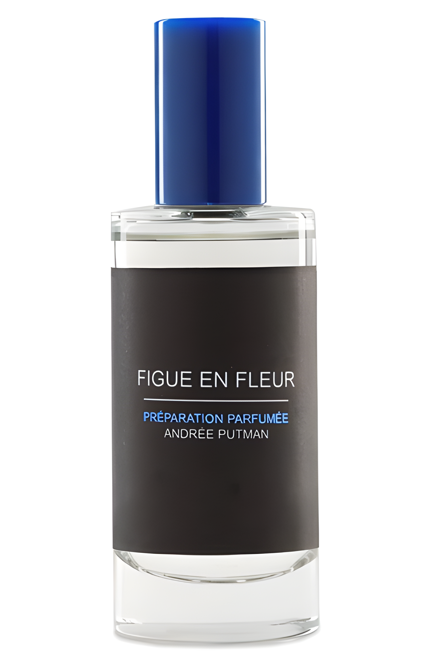 Figue en Fleur by Andree Putman perfume bottle