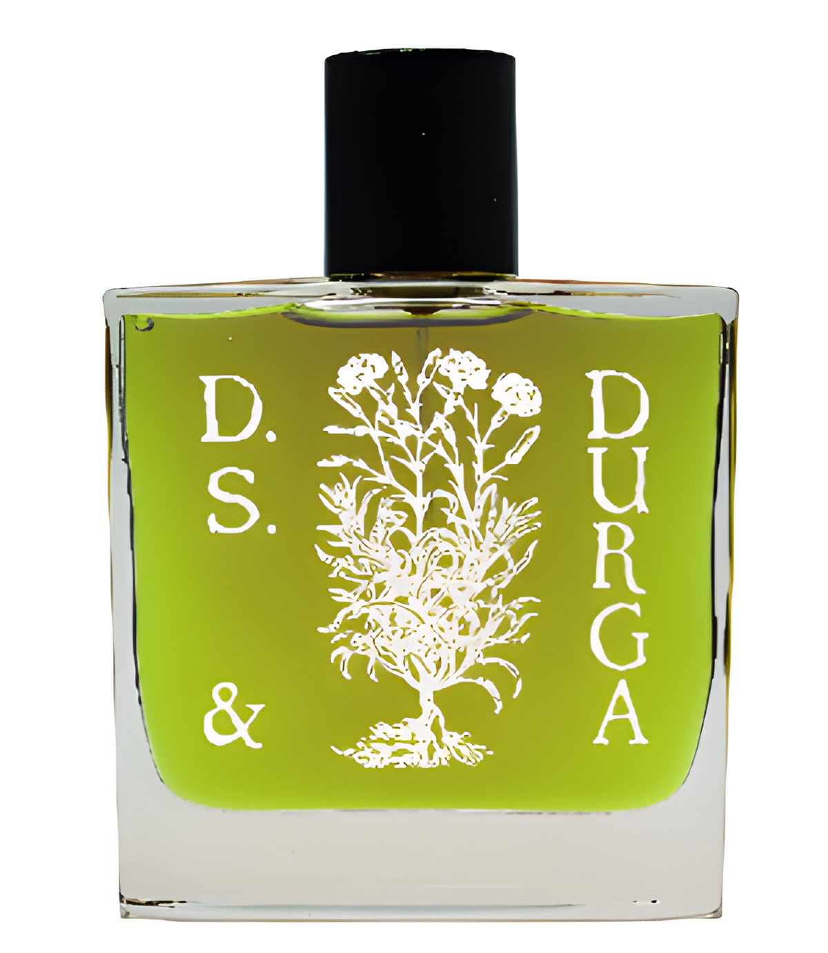 Boston Ivy by DS&Durga perfume bottle