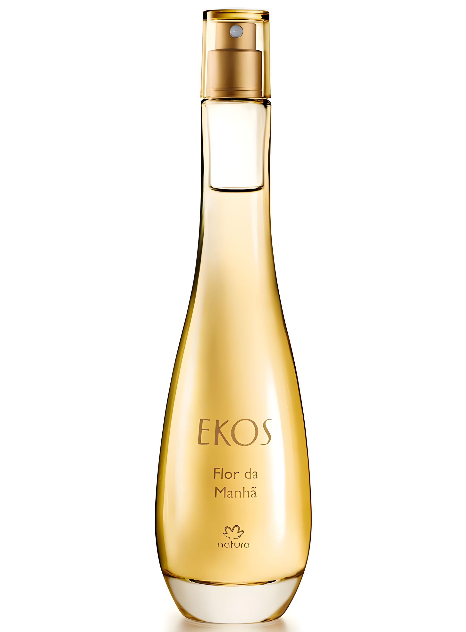 Flor Da Manhã by Natura perfume bottle