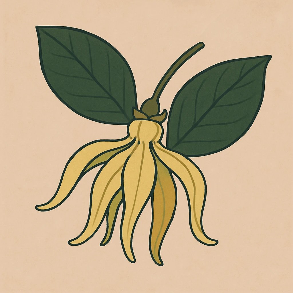 Picture of Madagascan Ylang Ylang note