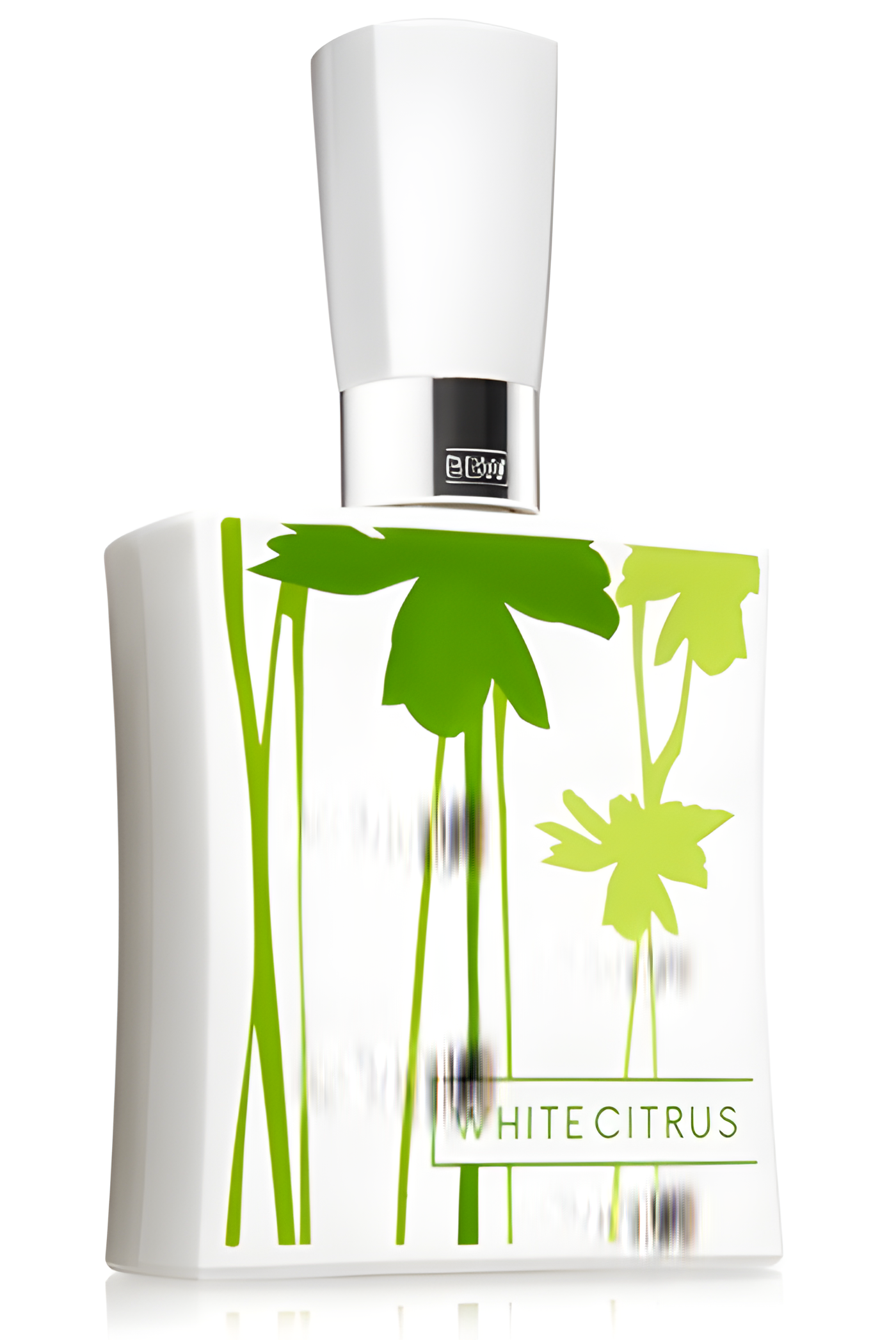 White Citrus by Bath & Body Works perfume bottle