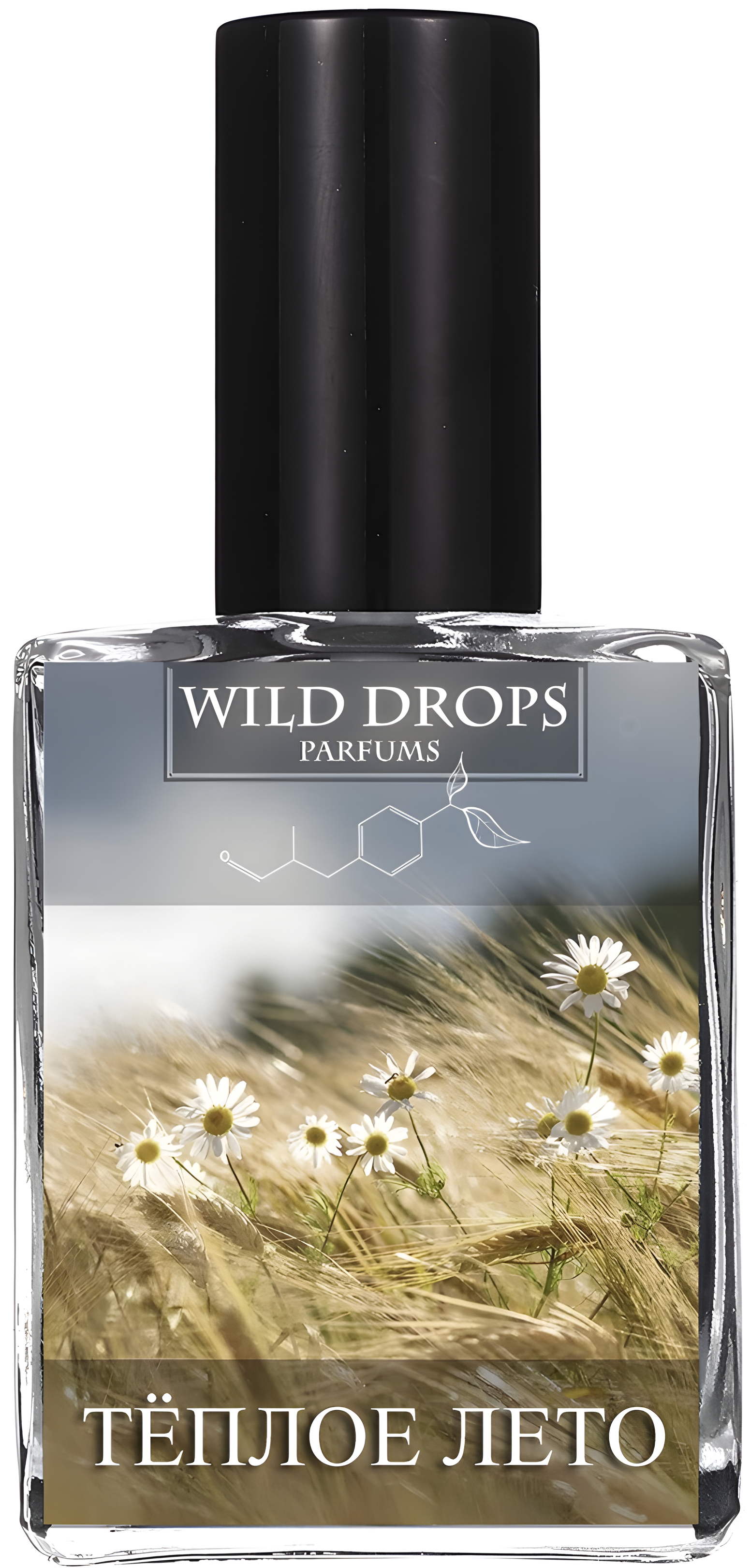 Warm Summer 2 (Теплое Лето 2) by Wild Drops Parfums perfume bottle