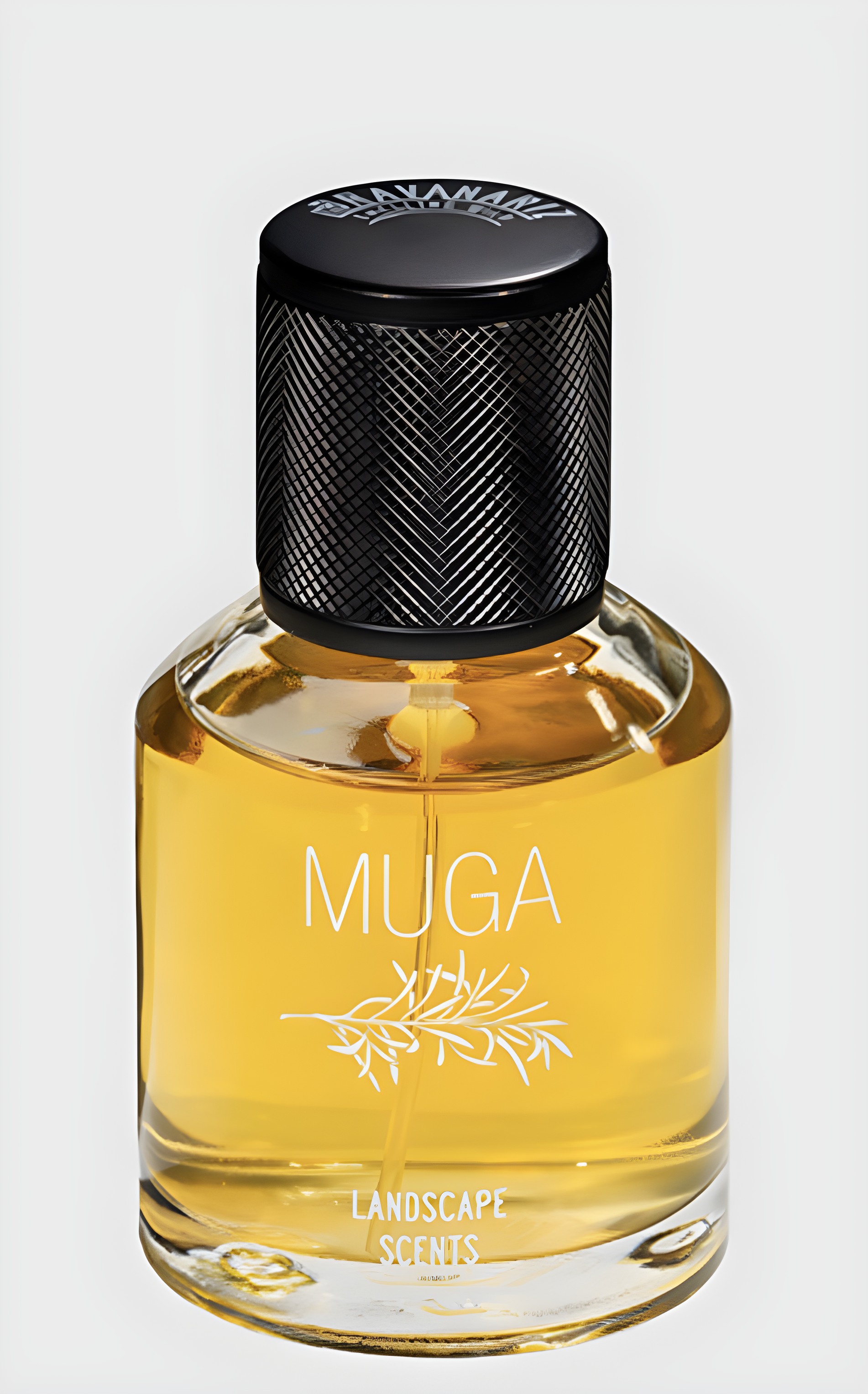 Muga by Bravanariz perfume bottle