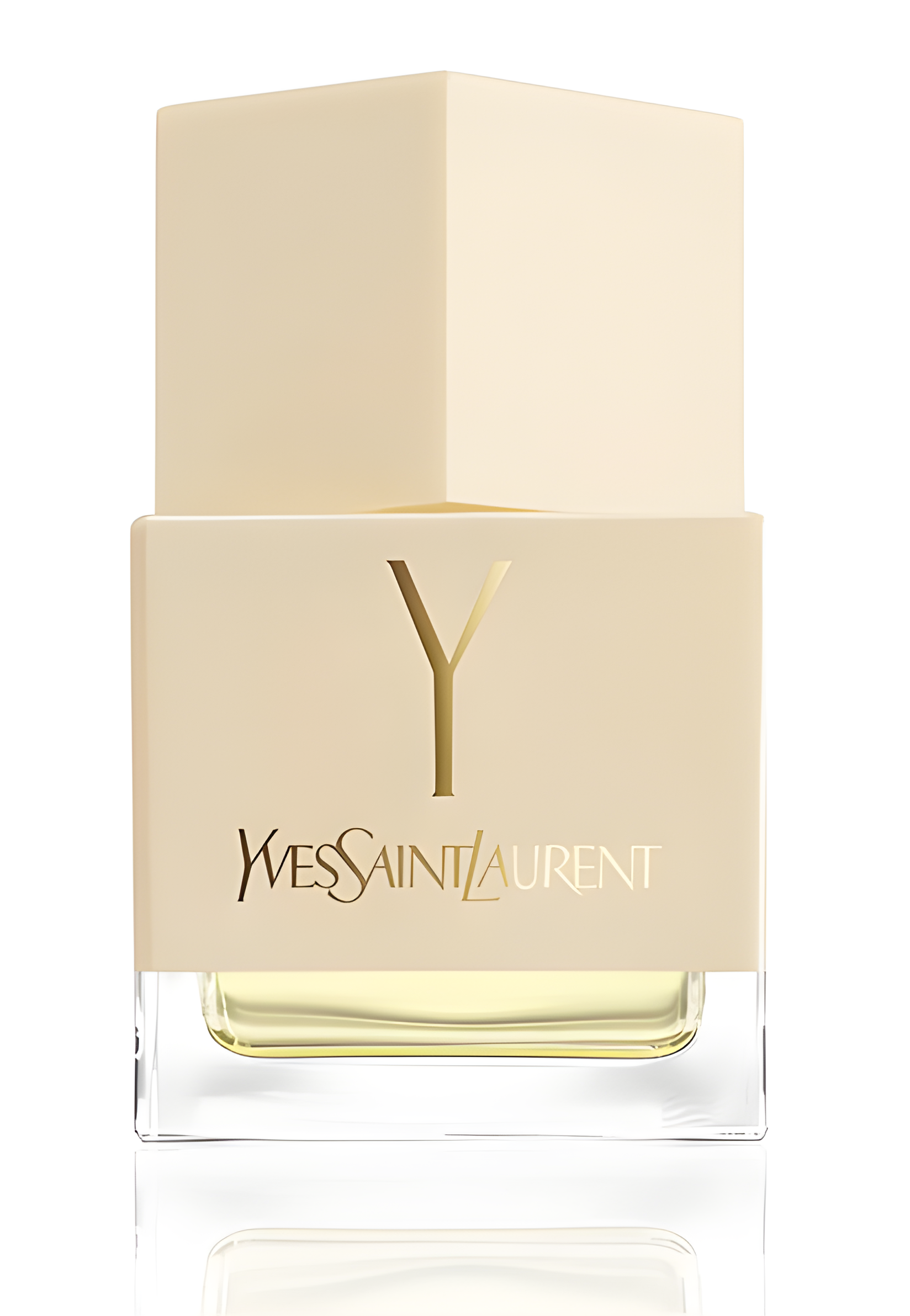 La Collection Y by Yves Saint Laurent