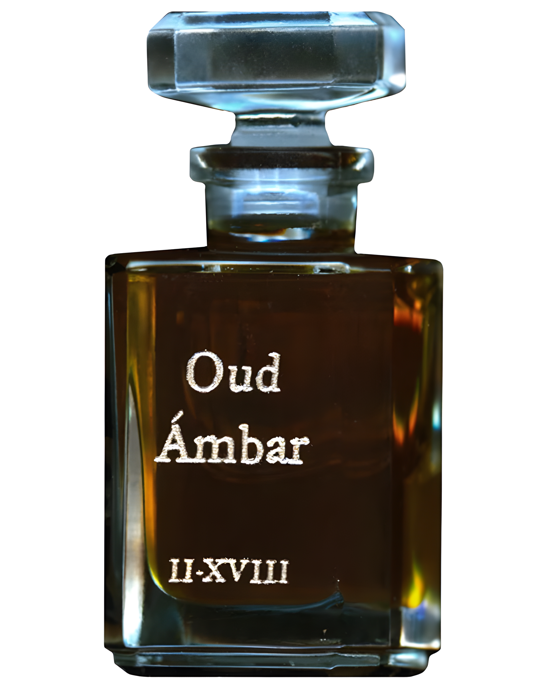 Oud Ambar by Fueguia 1833 perfume bottle