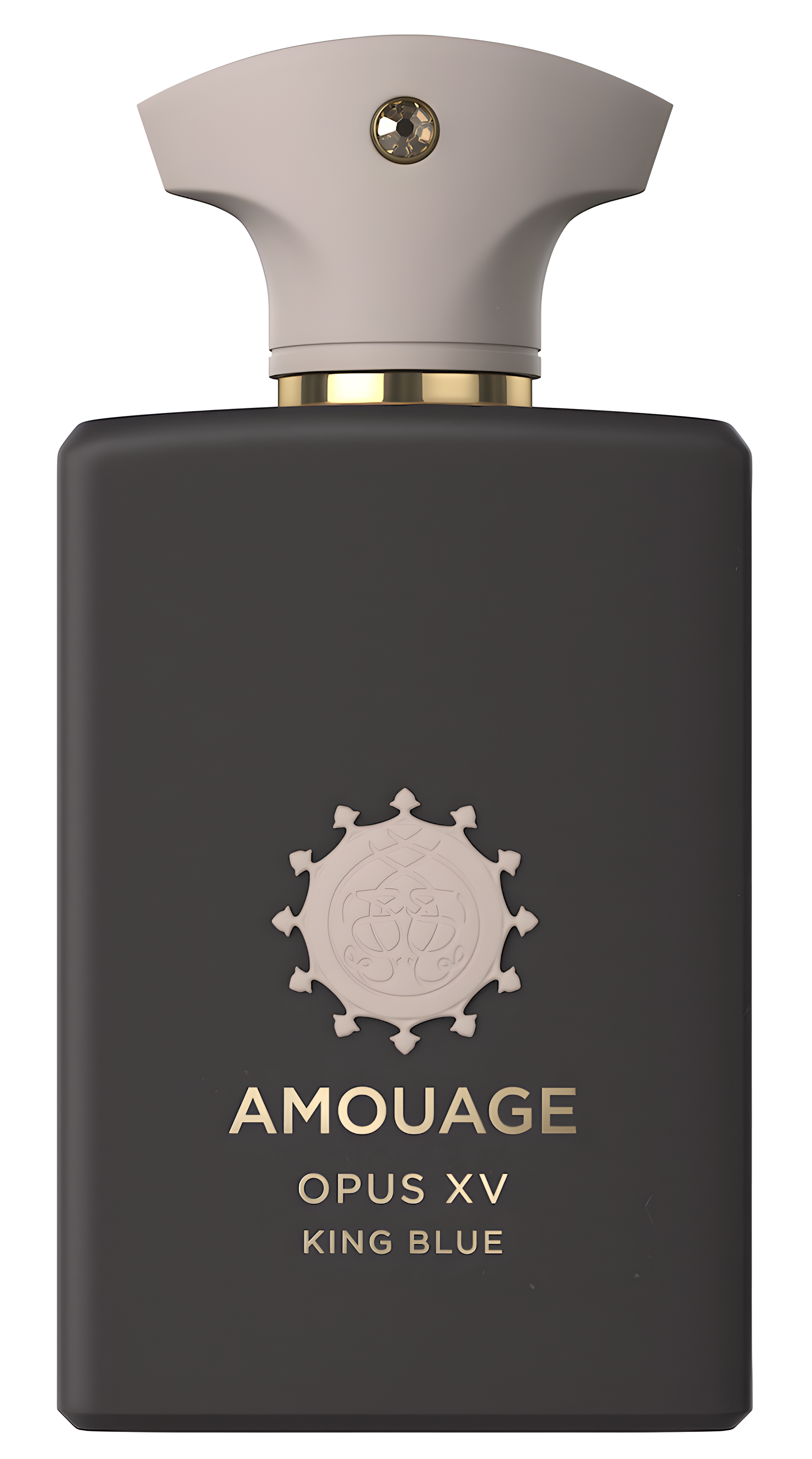 Opus XV – King Blue by Amouage perfume bottle