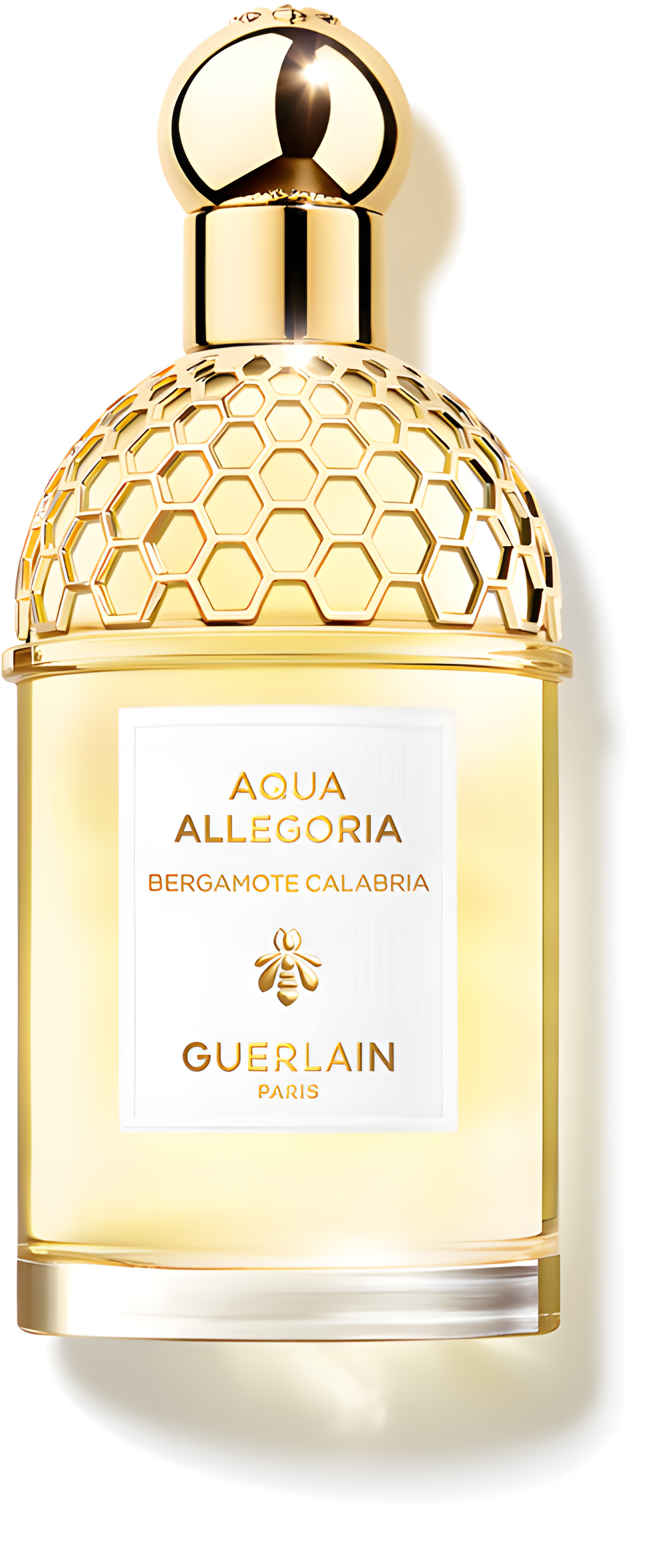 Aqua Allegoria Bergamote Calabria by Guerlain perfume bottle