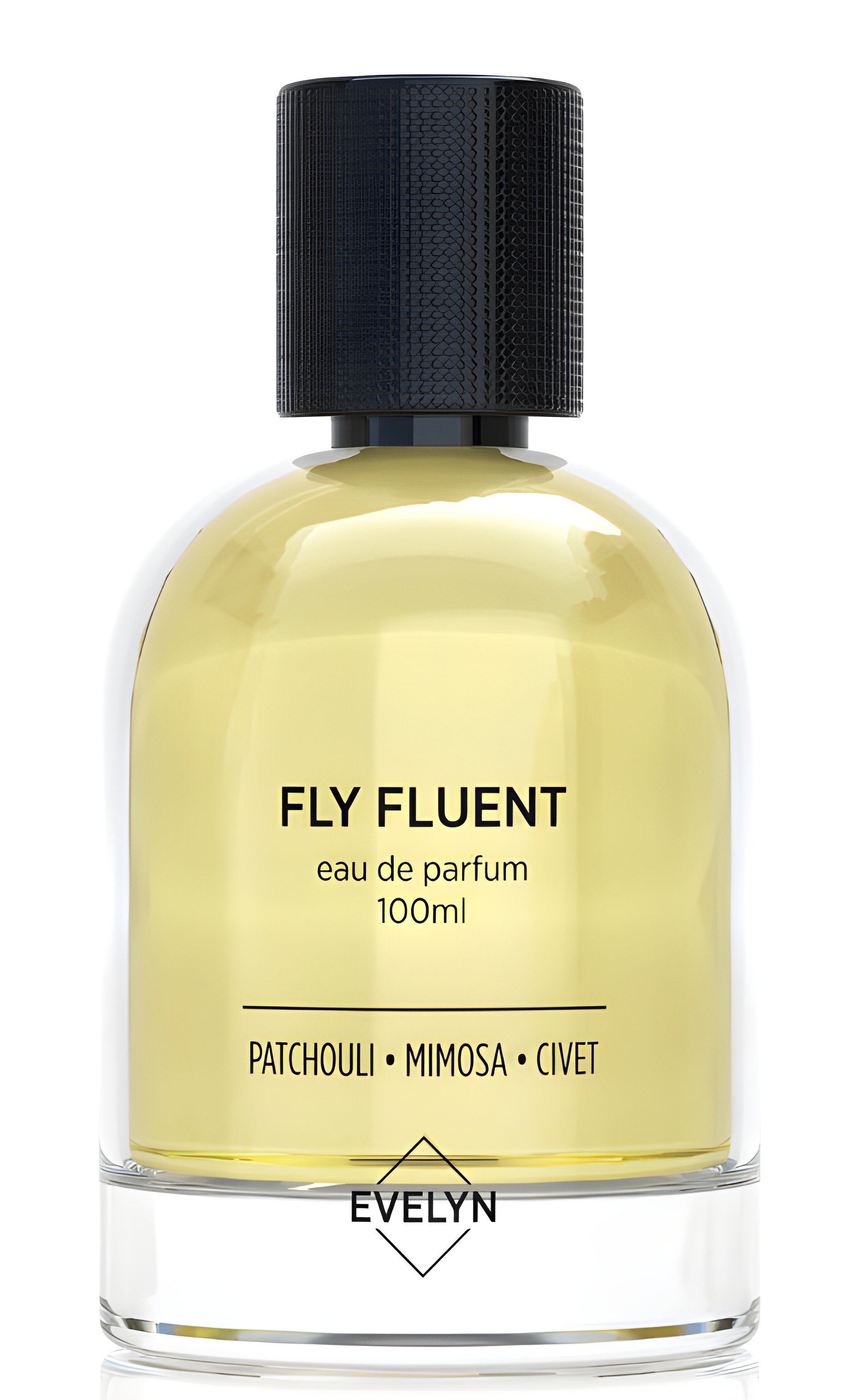 Fly Fluent by Evelyn perfume bottle