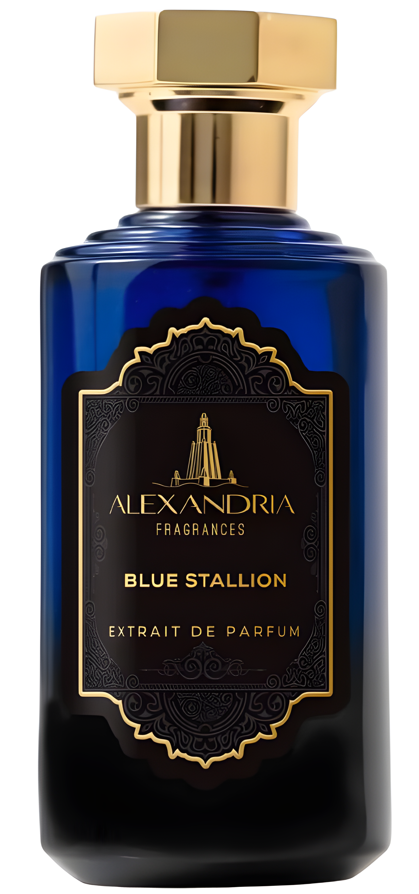 Blue Stallion by Alexandria Fragrances perfume bottle