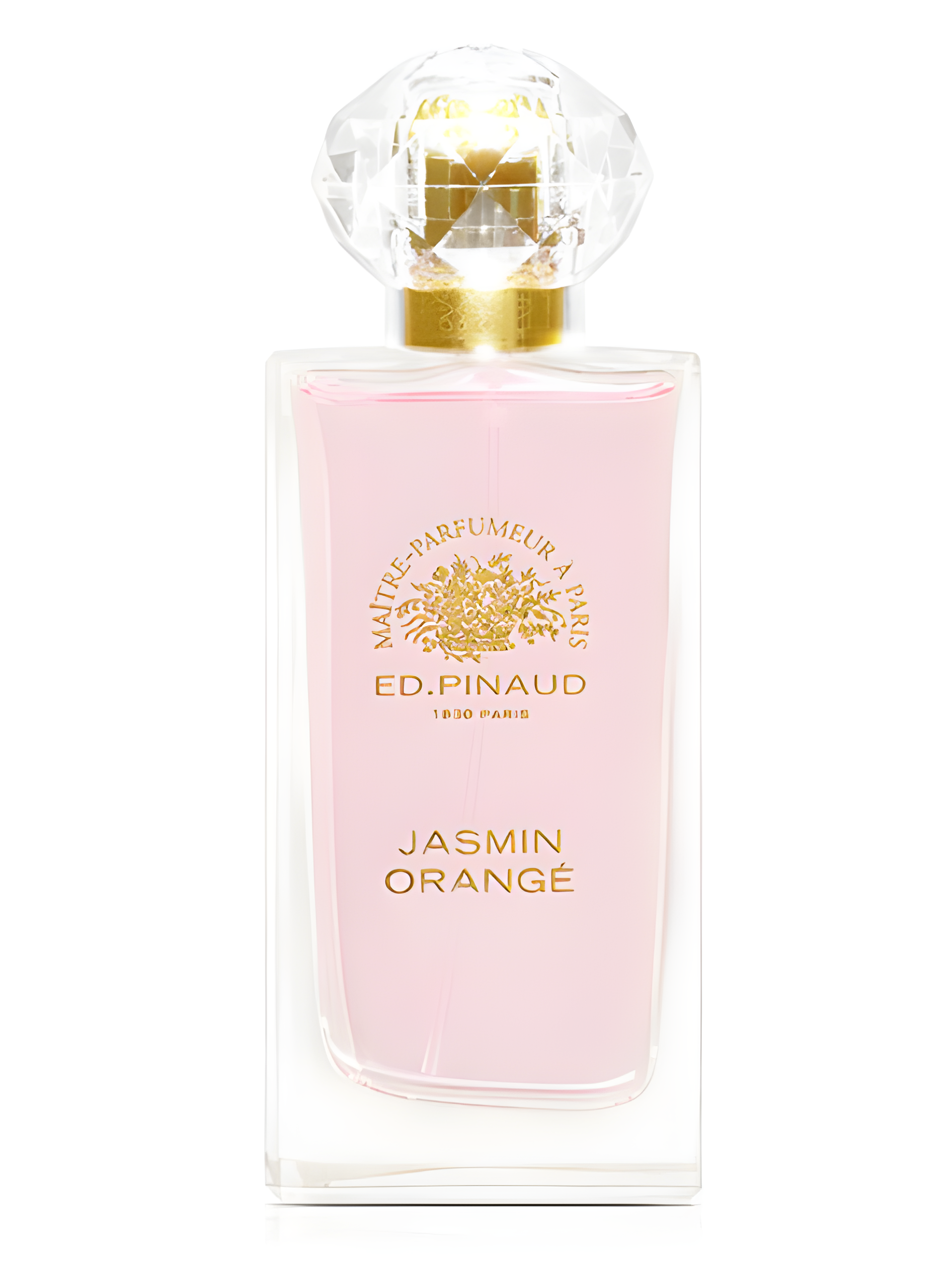 Jasmin Orangé by Ed Pinaud perfume bottle