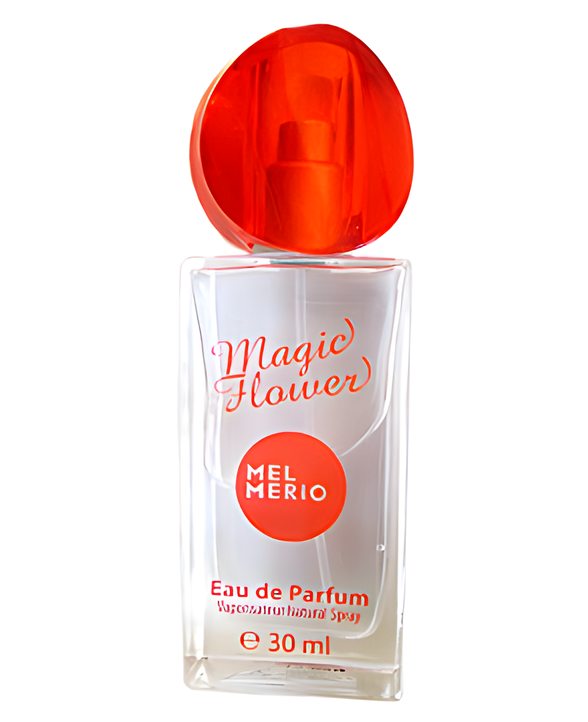 Magic Flower by Mel Merio