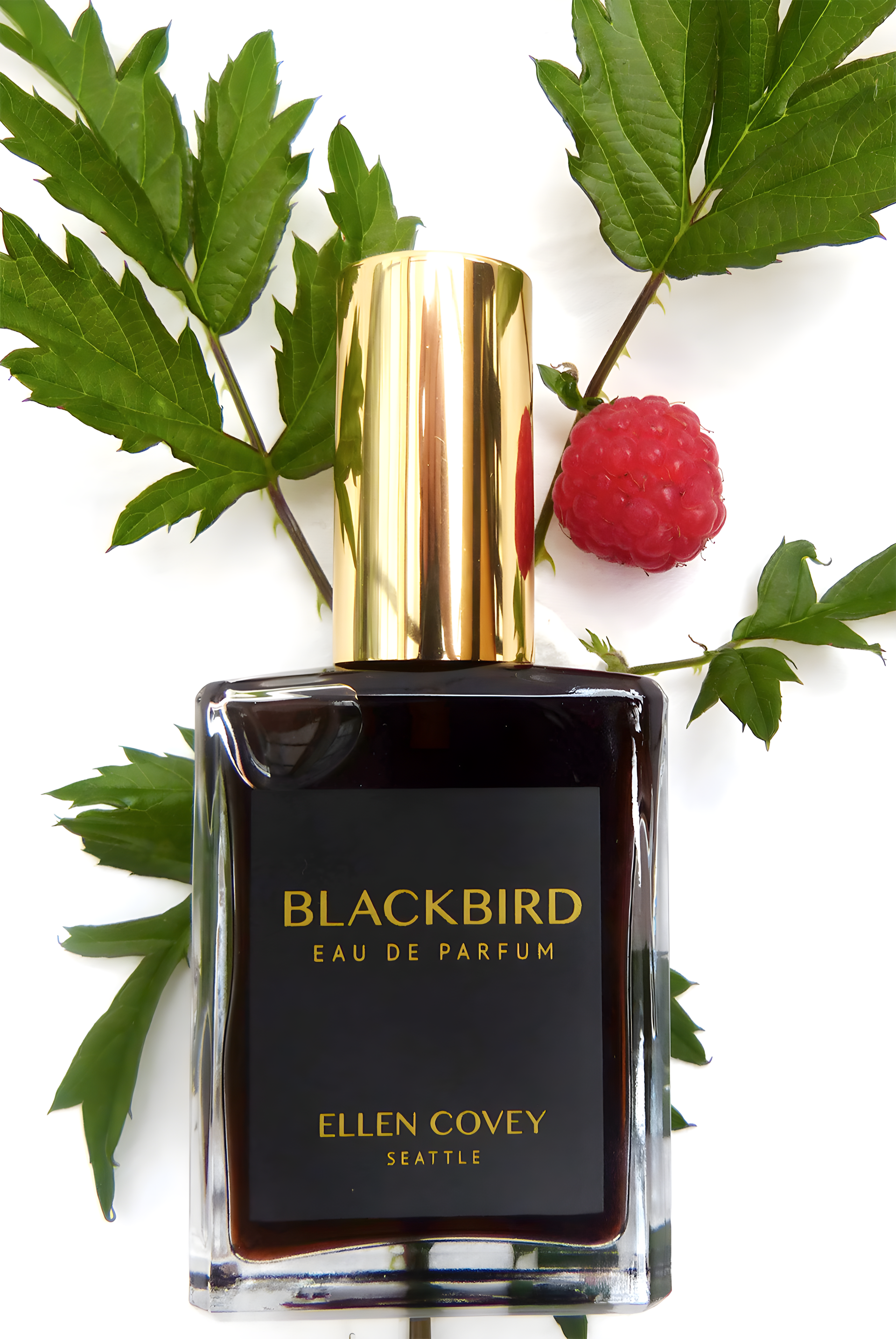 Blackbird by Olympic Orchids Artisan Perfumes perfume bottle