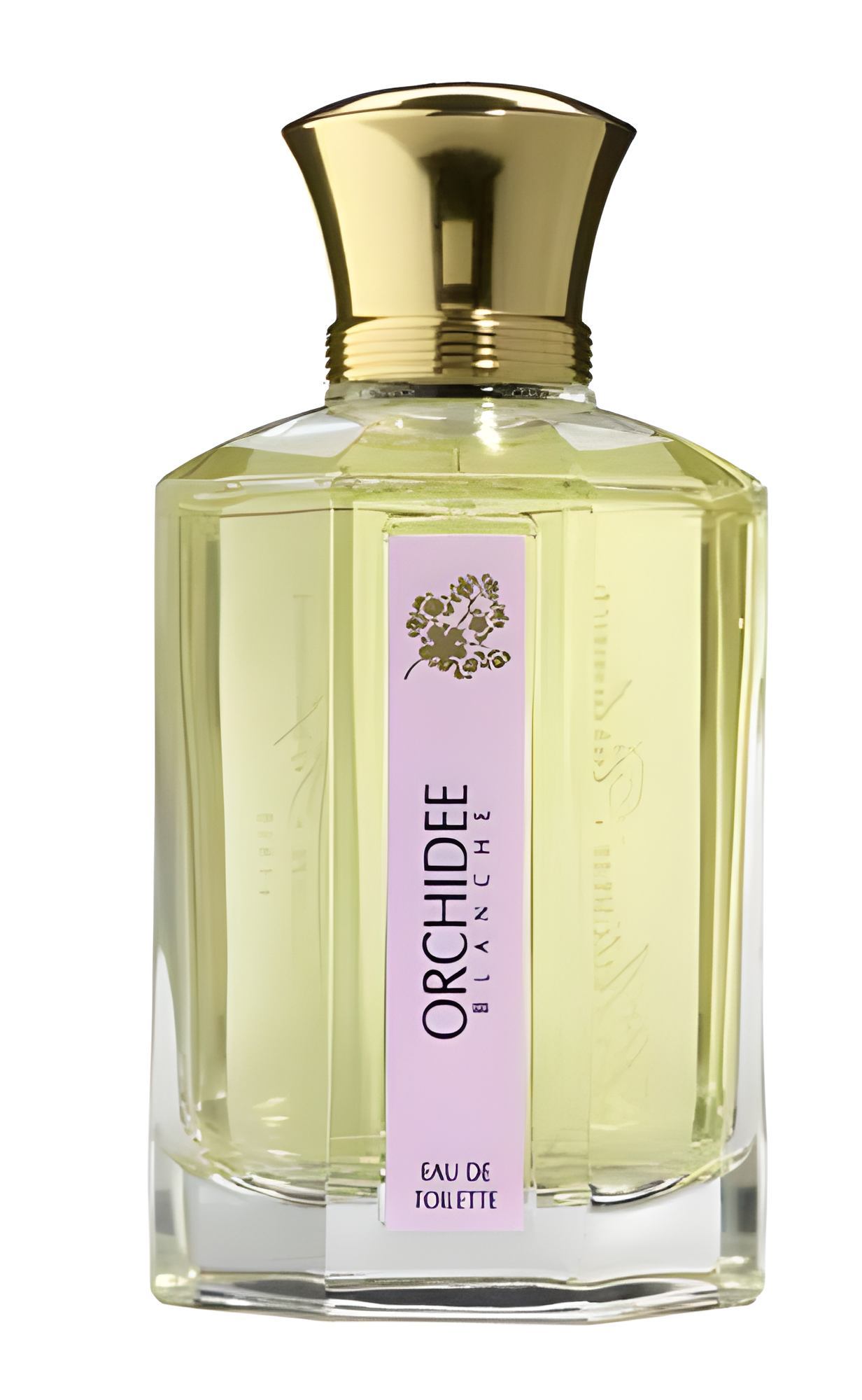 Orchidee Blanche by L'Artisan Parfumeur perfume bottle