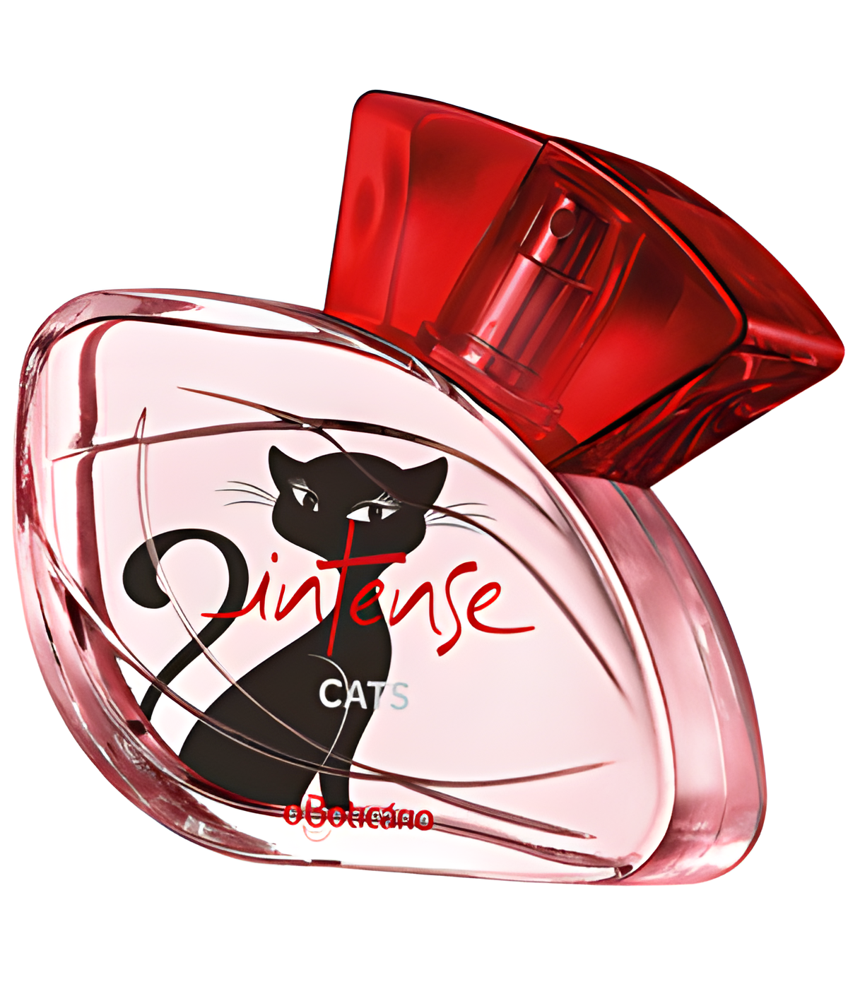 Intense Cats by O Boticário perfume bottle