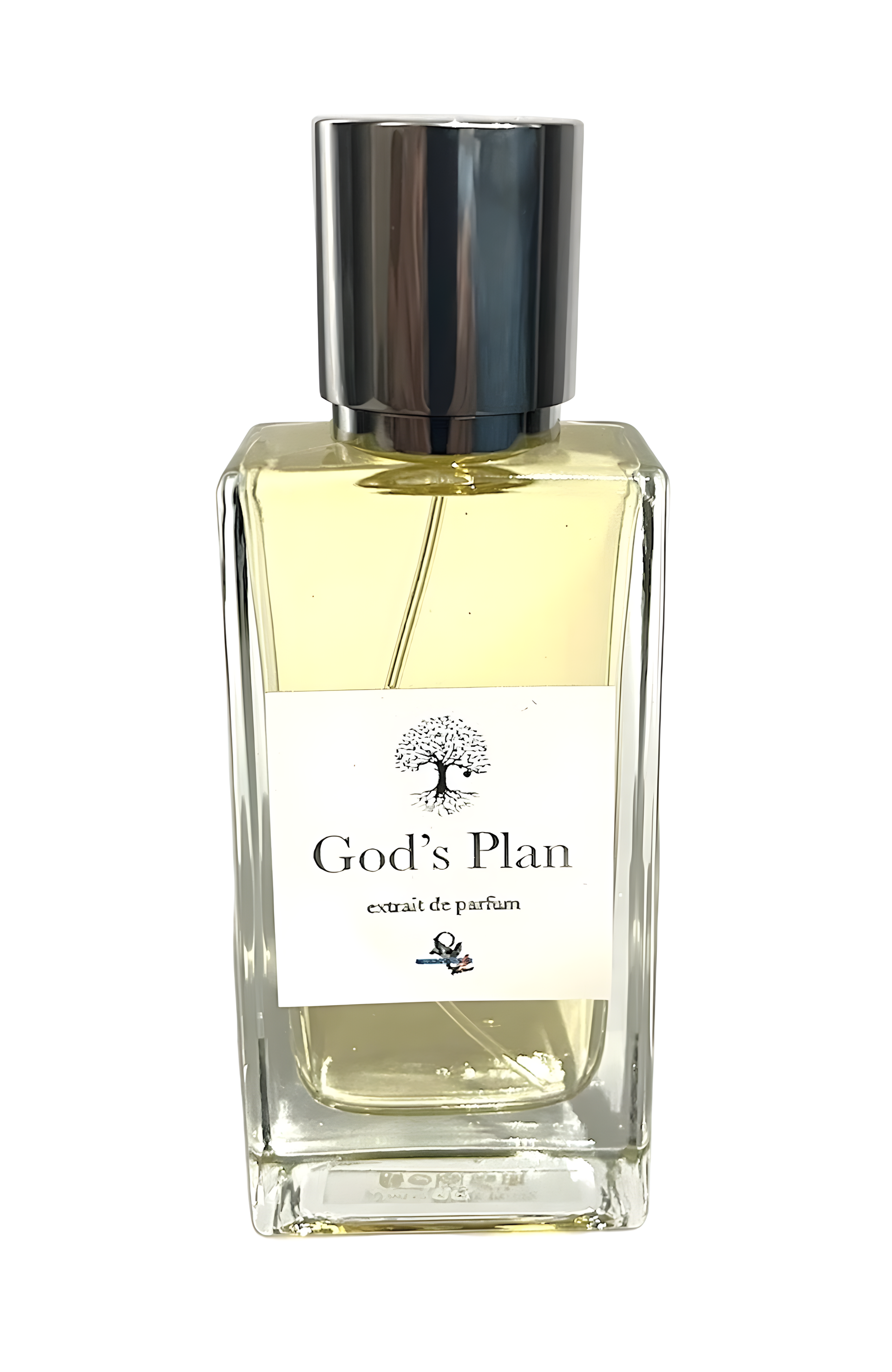 God's Plan by Morningstar Perfume perfume bottle