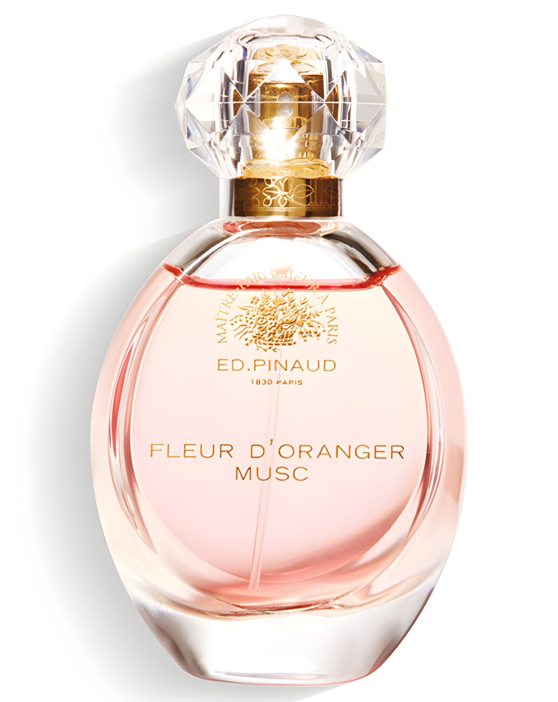 Fleur d'Oranger Musc by Ed Pinaud perfume bottle