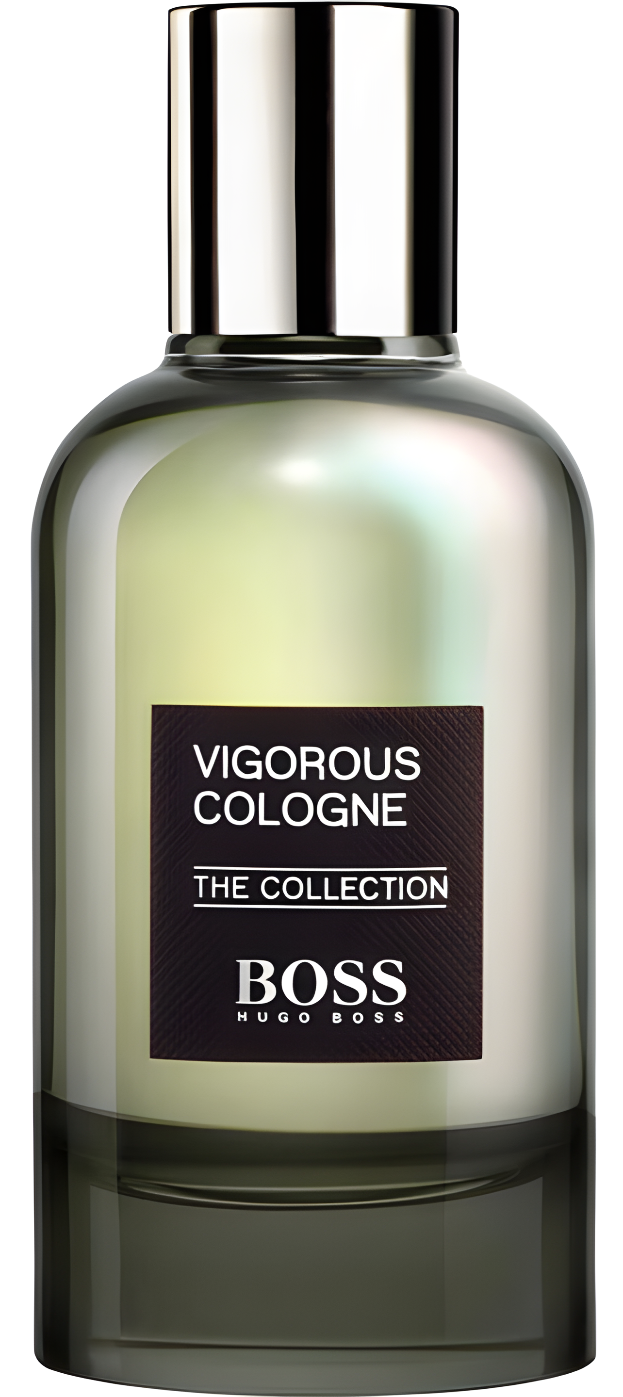 The Collection Vigorous Cologne by Hugo Boss perfume bottle