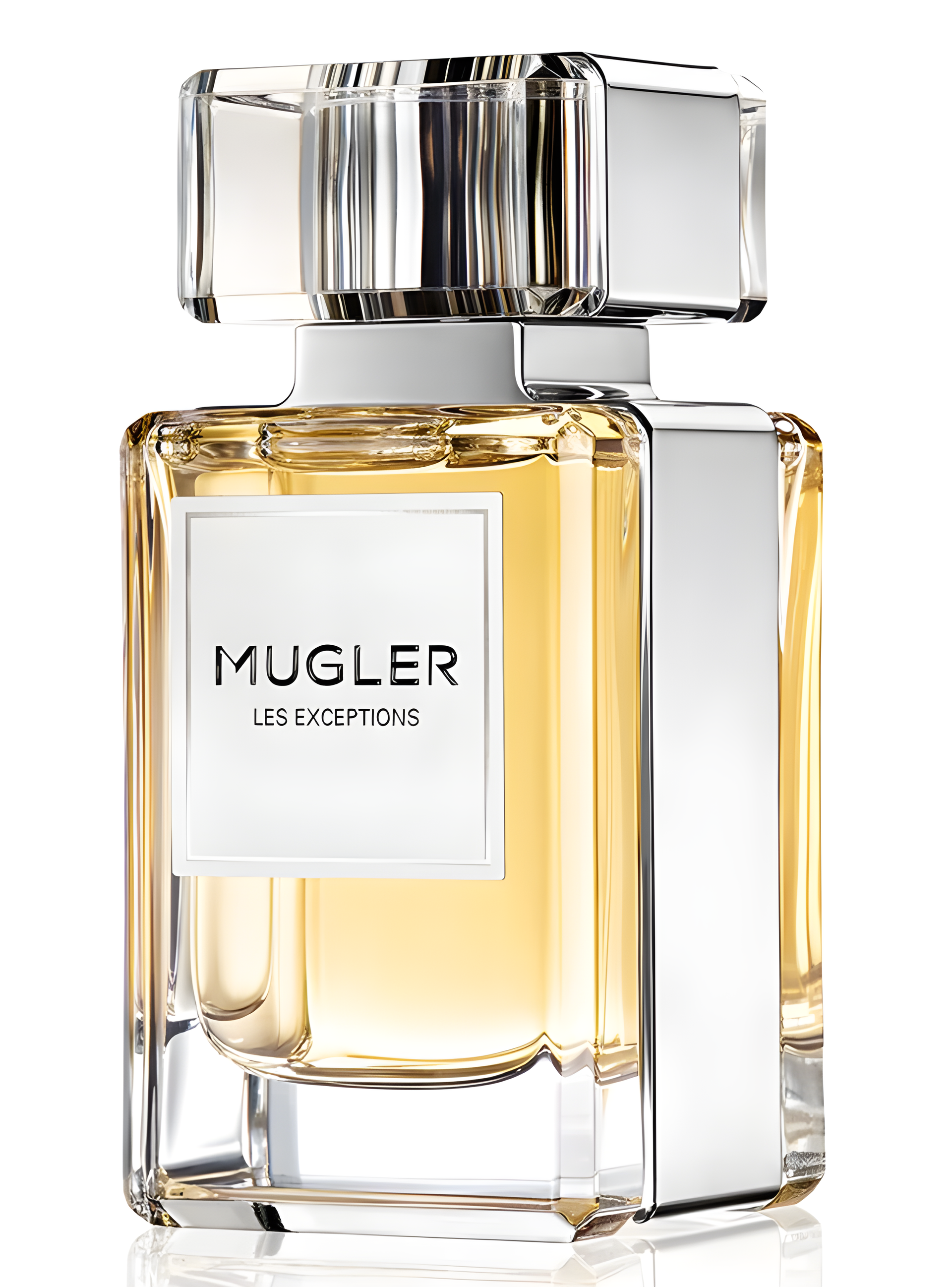 Fougere Furieuse by Mugler perfume bottle