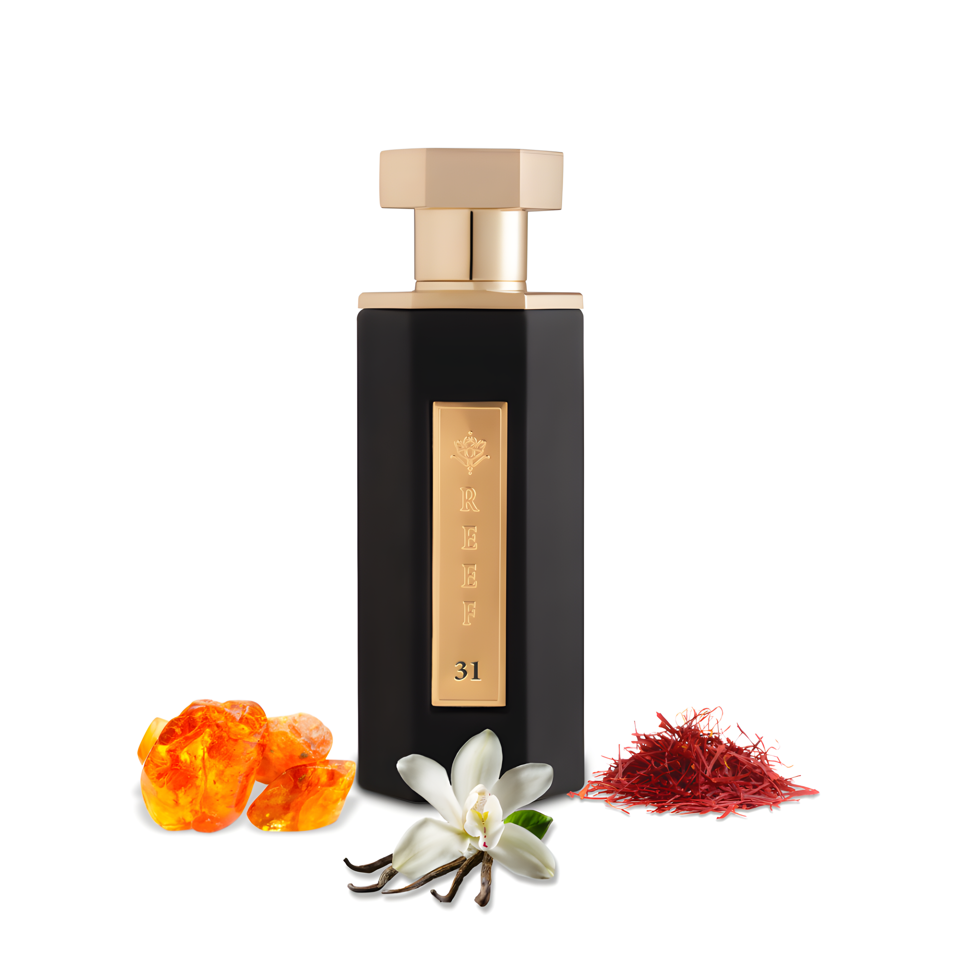 Reef 31 by Reef Perfumes perfume bottle