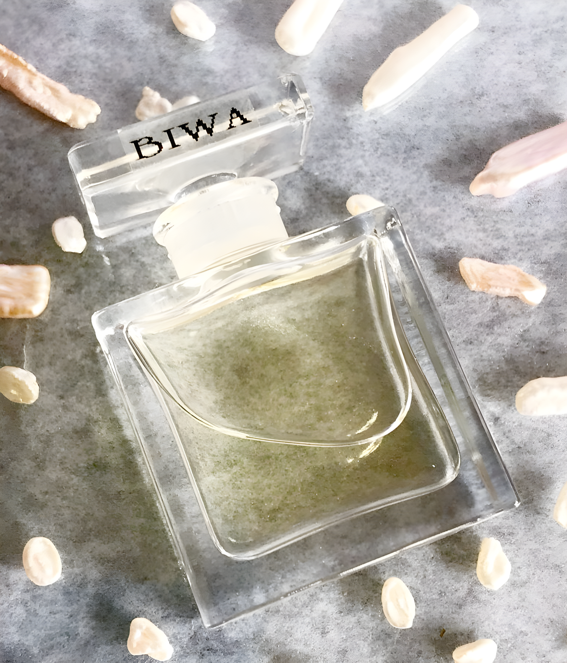 Biwa by DSH Perfumes