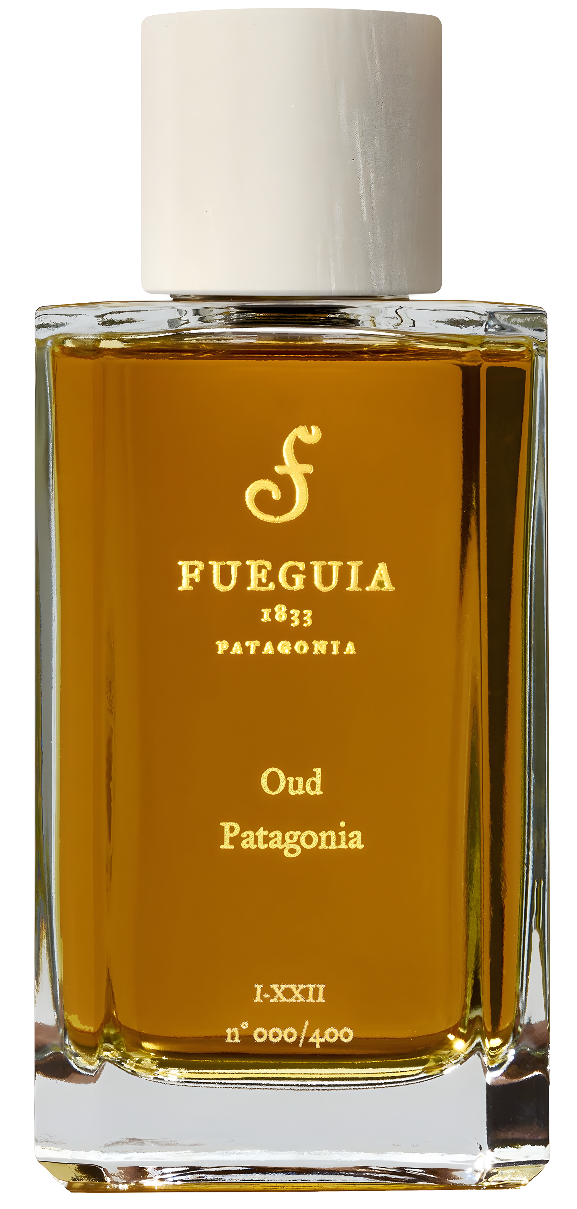 Oud Patagonia by Fueguia 1833 perfume bottle
