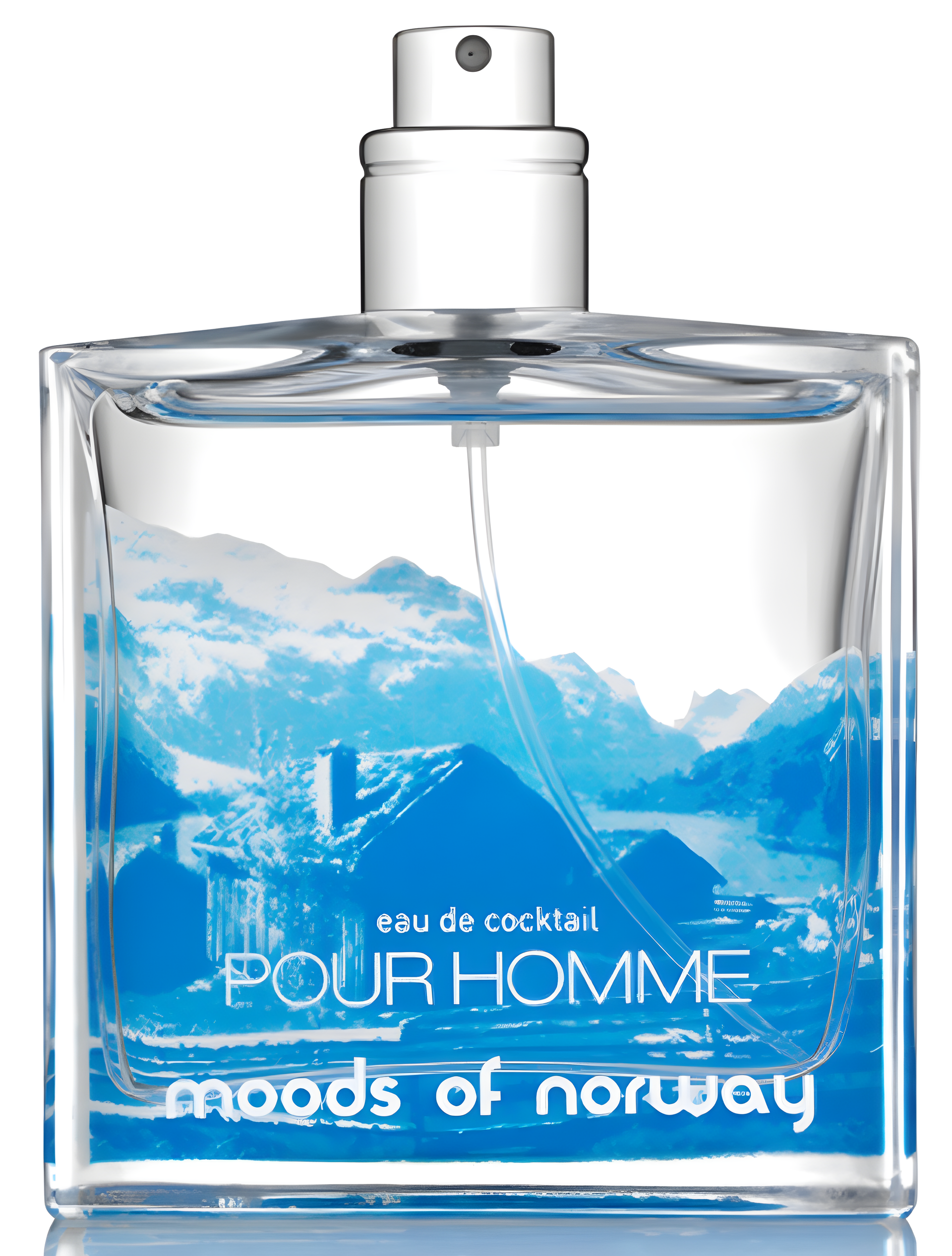 Eau de Cocktail Pour Homme by Moods Of Norway perfume bottle