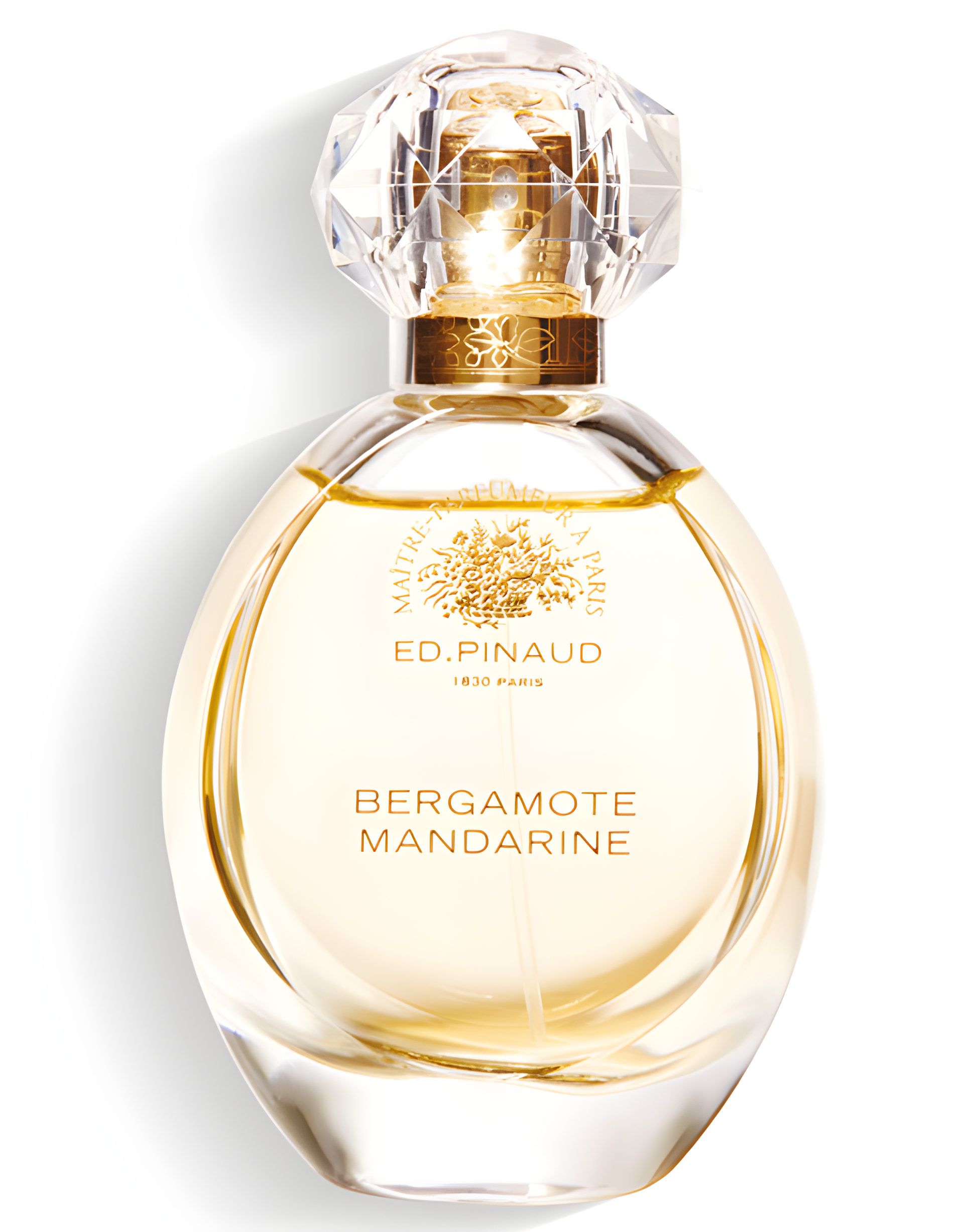 Bergamote Mandarine by Ed Pinaud perfume bottle