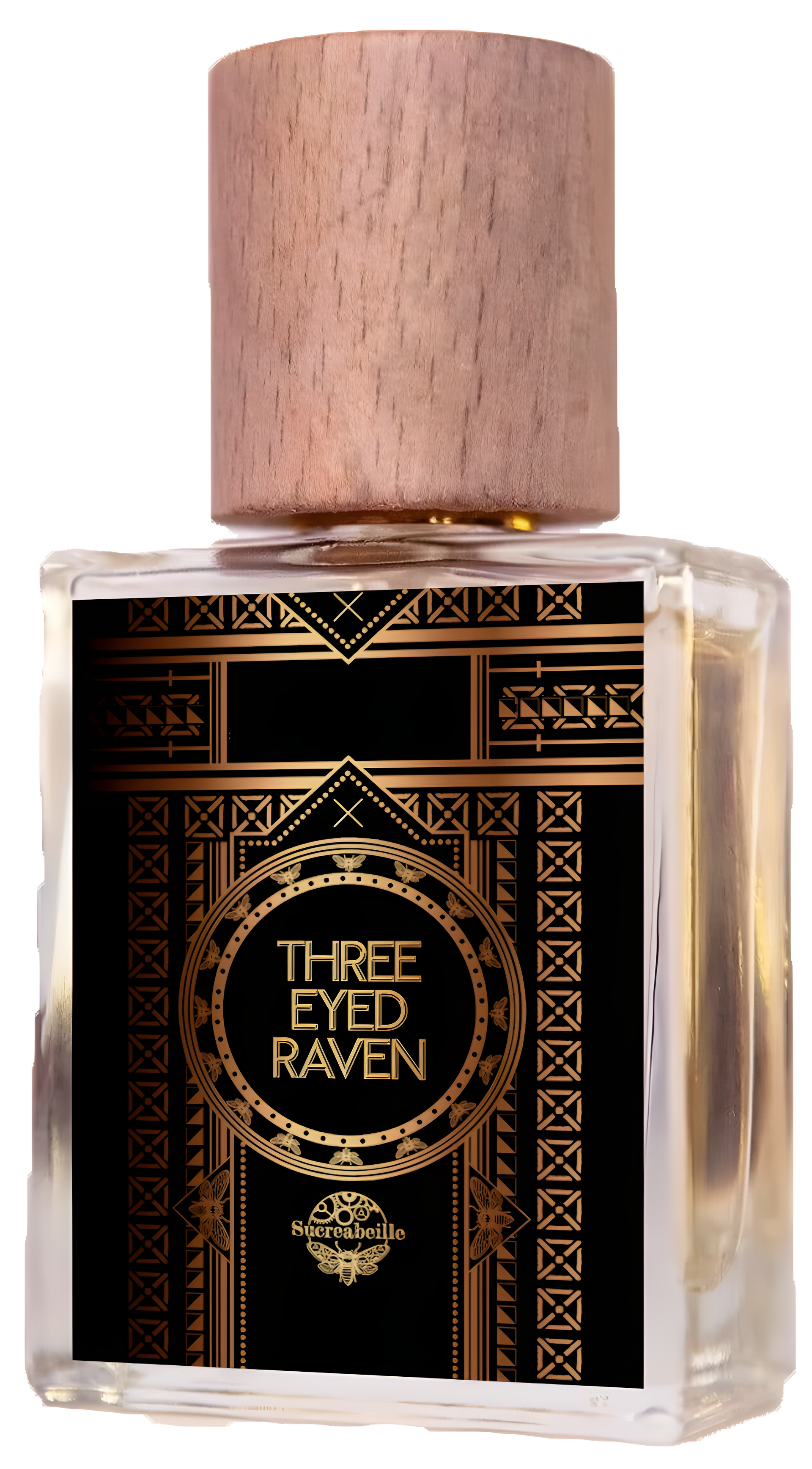 Three Eyed Raven by Sucreabeille