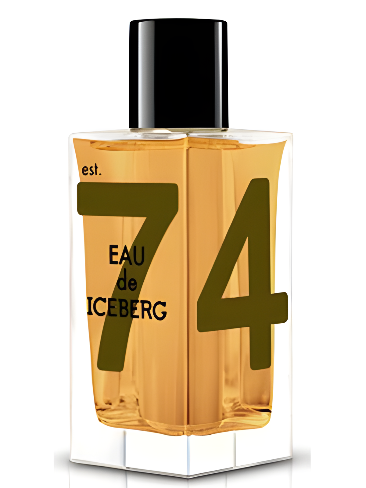 Eau de Iceberg Amber by Iceberg perfume bottle