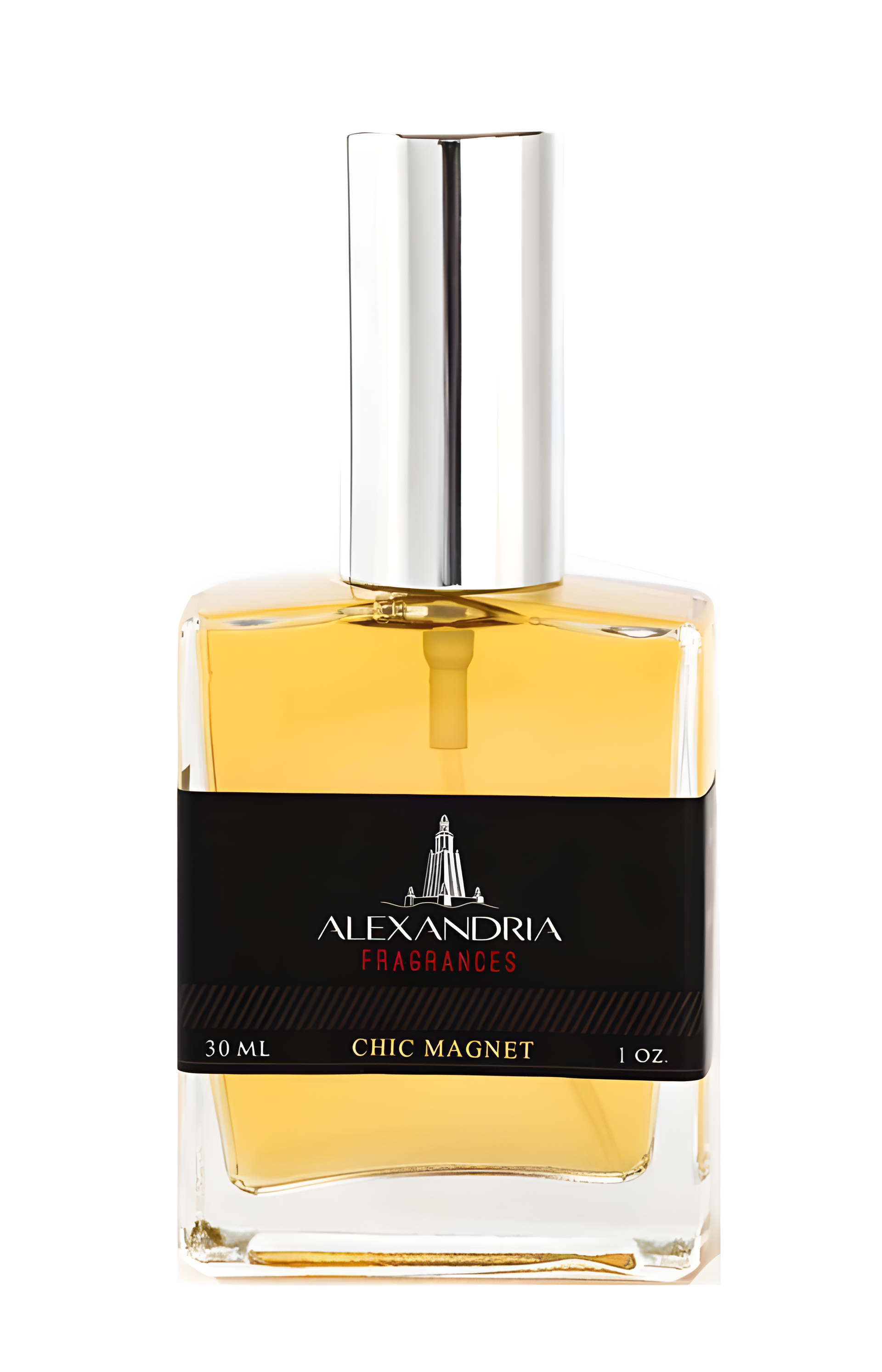 Chic Magnet by Alexandria Fragrances perfume bottle