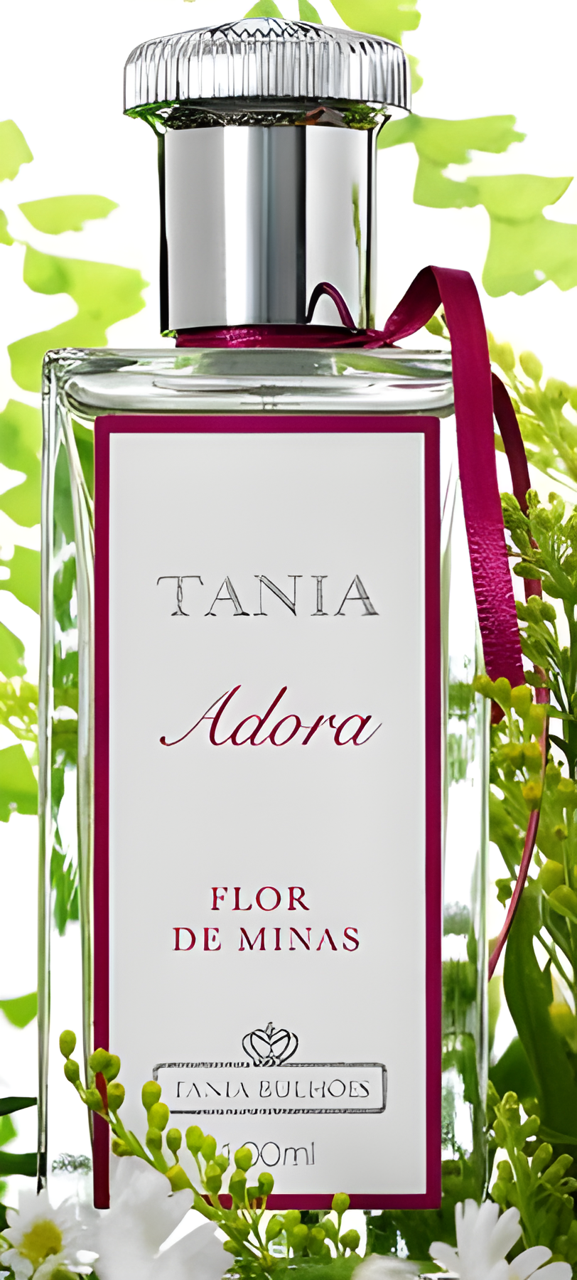 Flor de Minas by Tania Bulhões perfume bottle