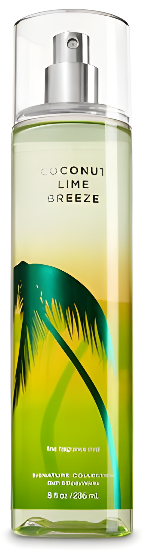 Coconut Lime Breeze by Bath & Body Works perfume bottle