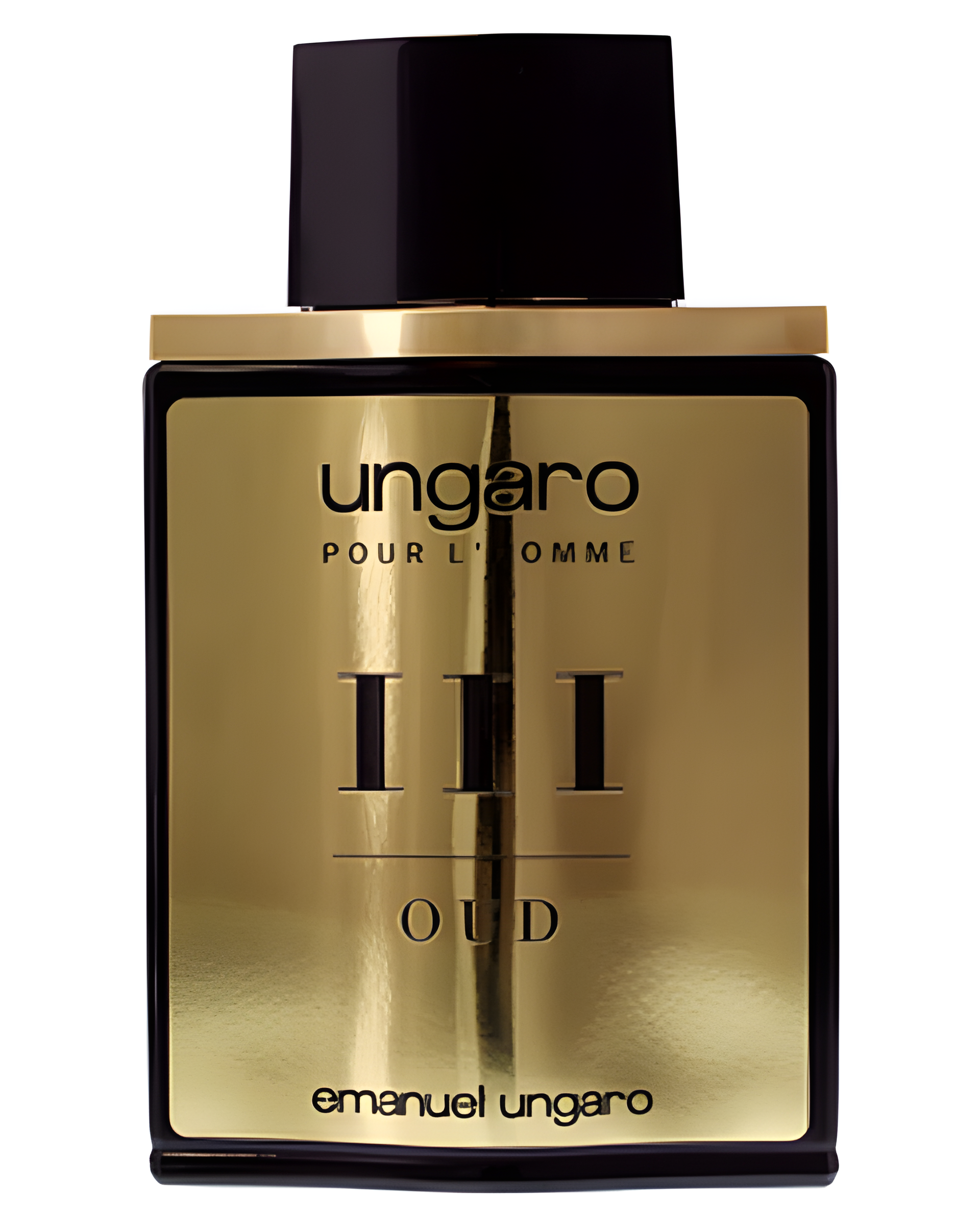 Ungaro Pour L'Homme III Oud by Emanuel Ungaro perfume bottle