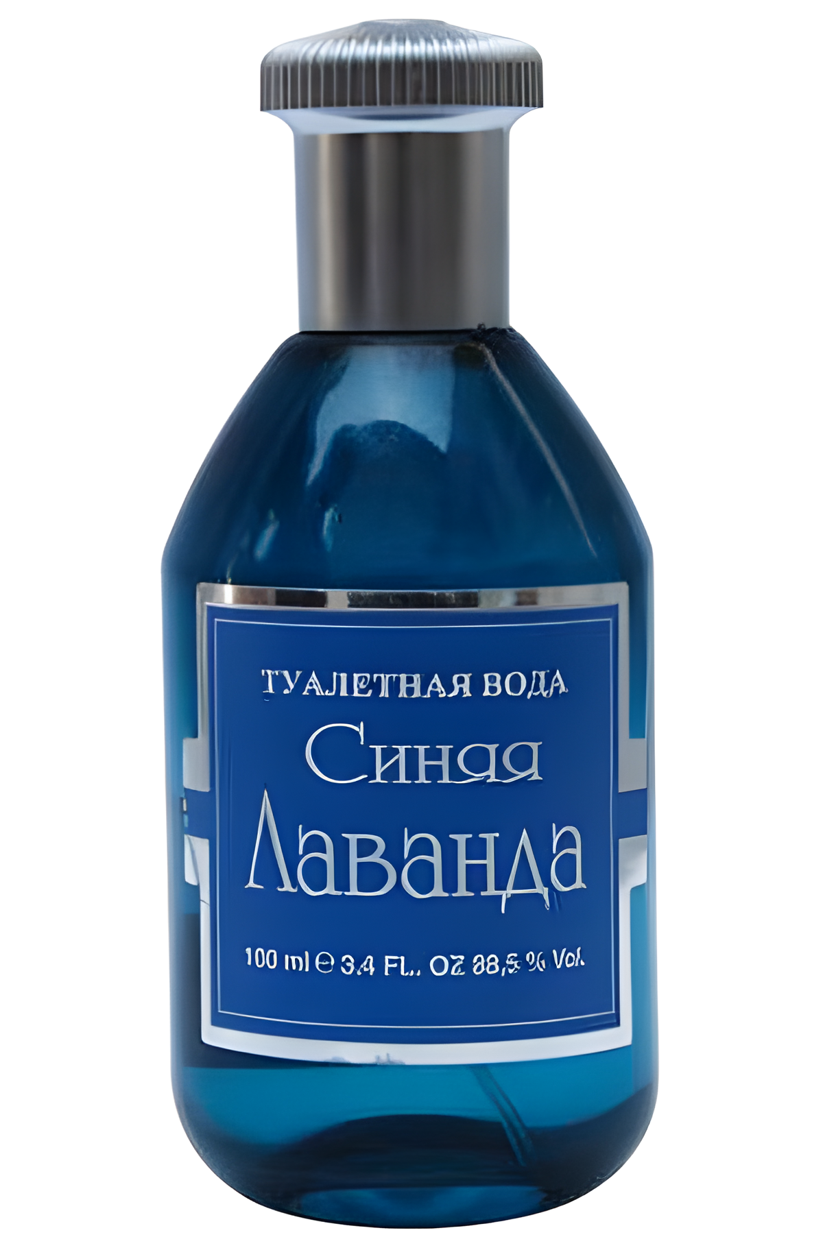 Новая Заря (The New Dawn) Синяя Лаванда (Blue Lavender)