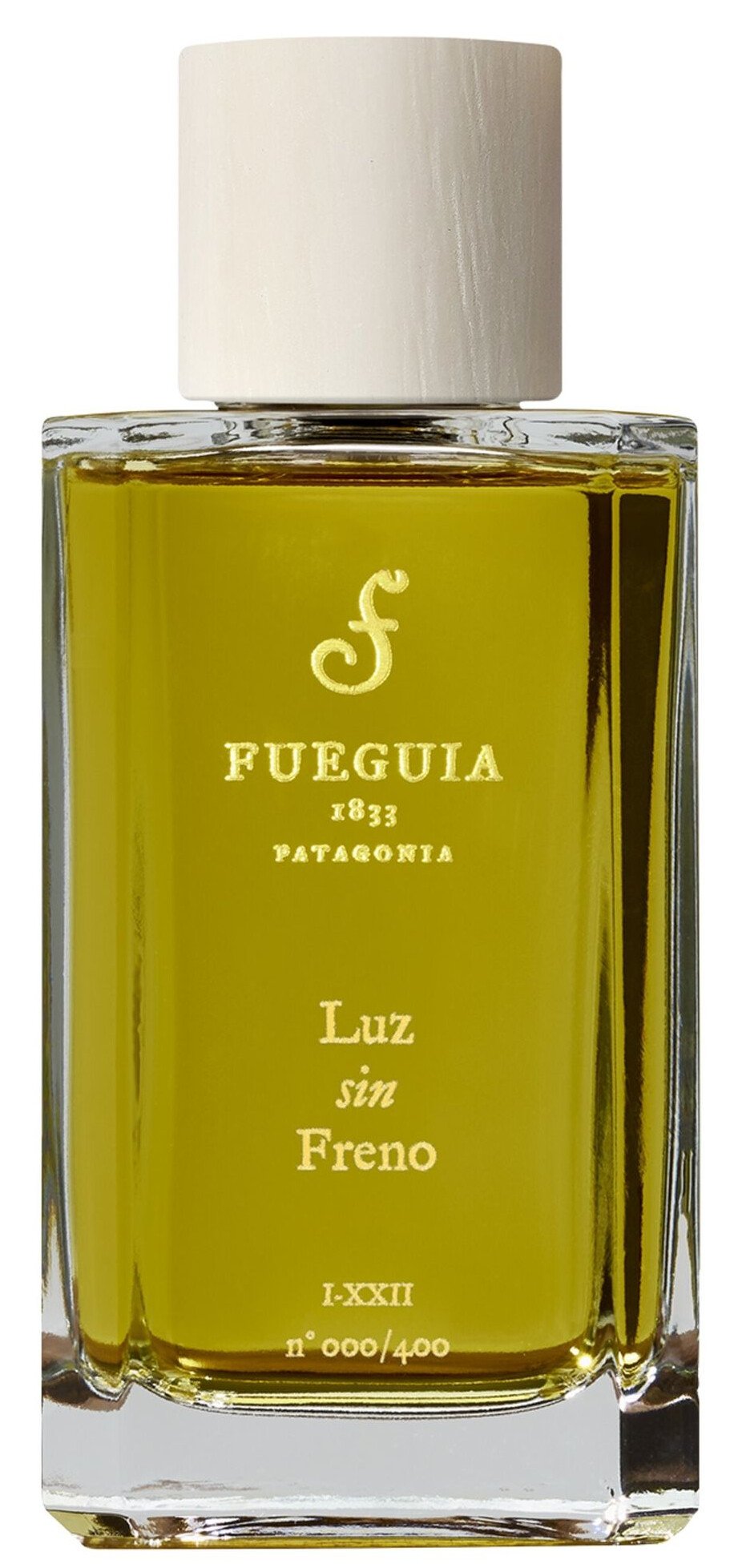 Luz Sin Freno by Fueguia 1833 perfume bottle