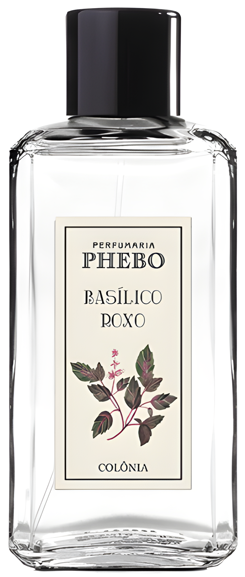 Basílico Roxo by Phebo perfume bottle