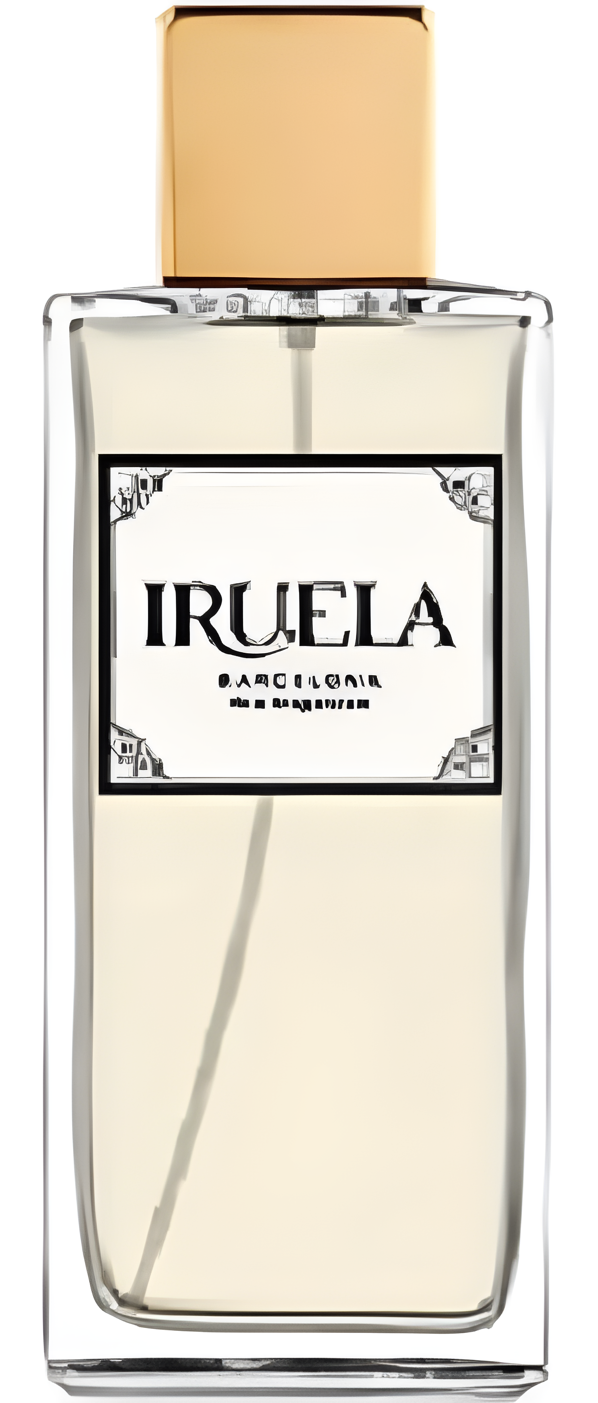 Citrus Inspiration by Iruela perfume bottle