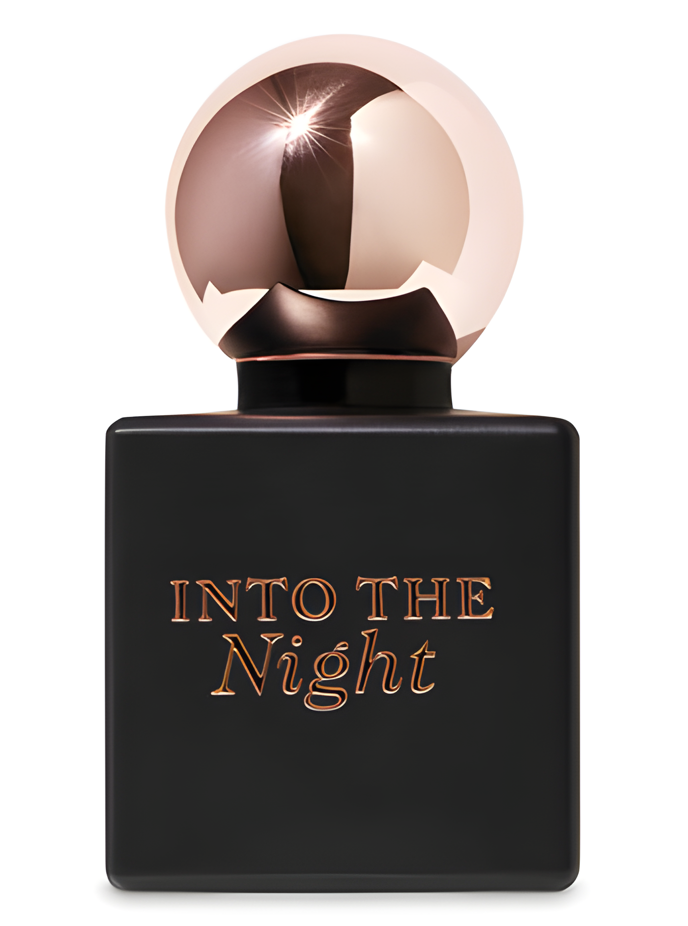 Into the Night by Bath & Body Works perfume bottle