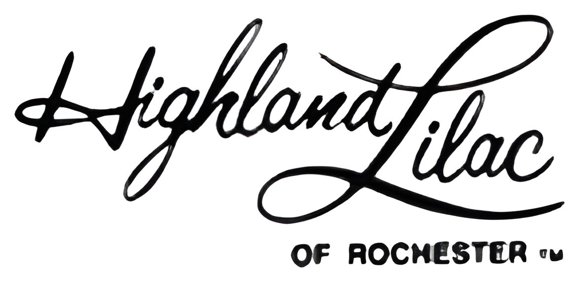 Picture of Highland Lilac of Rochester brand