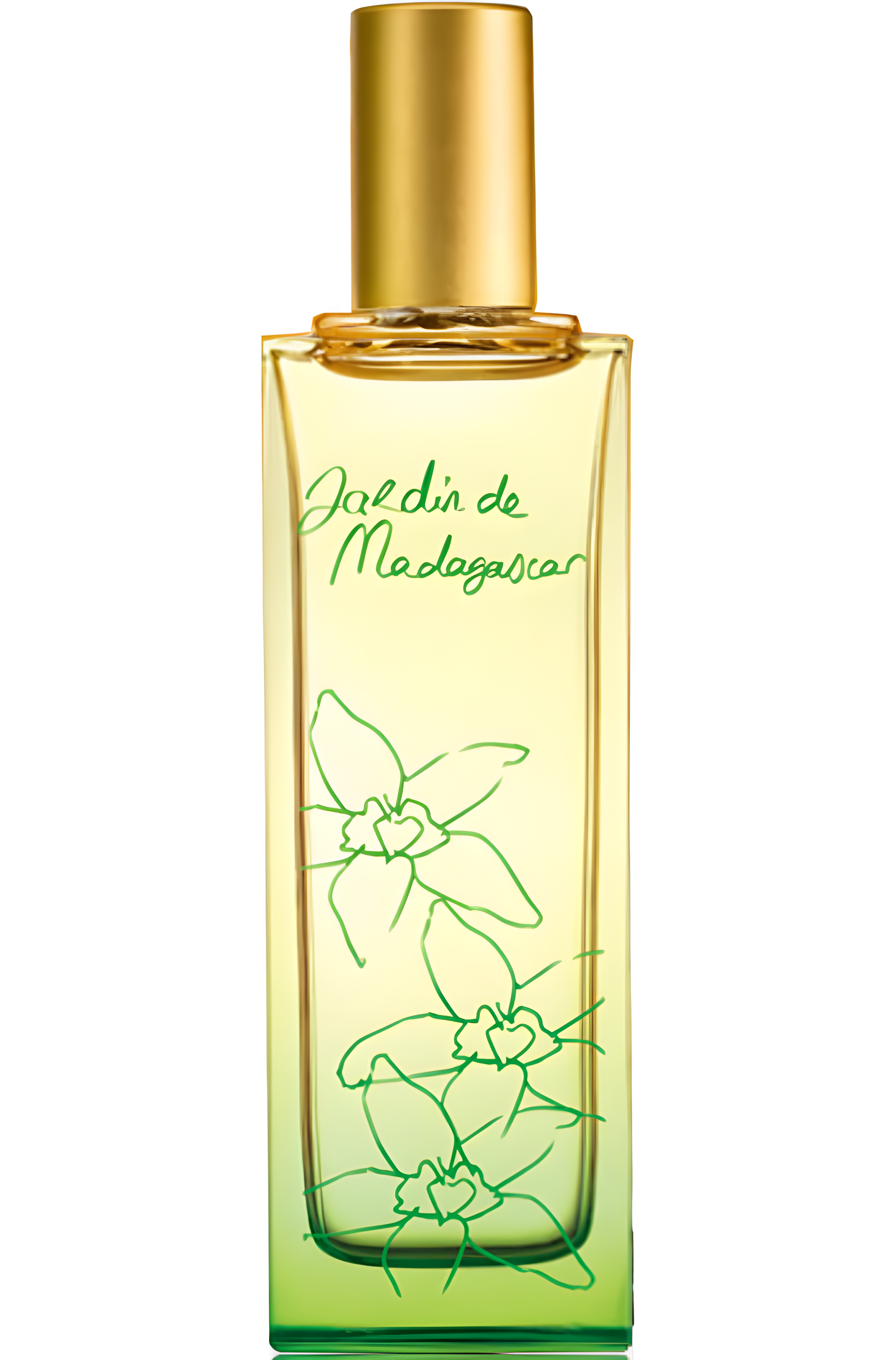 Jardin de Madagascar by ID Parfums perfume bottle