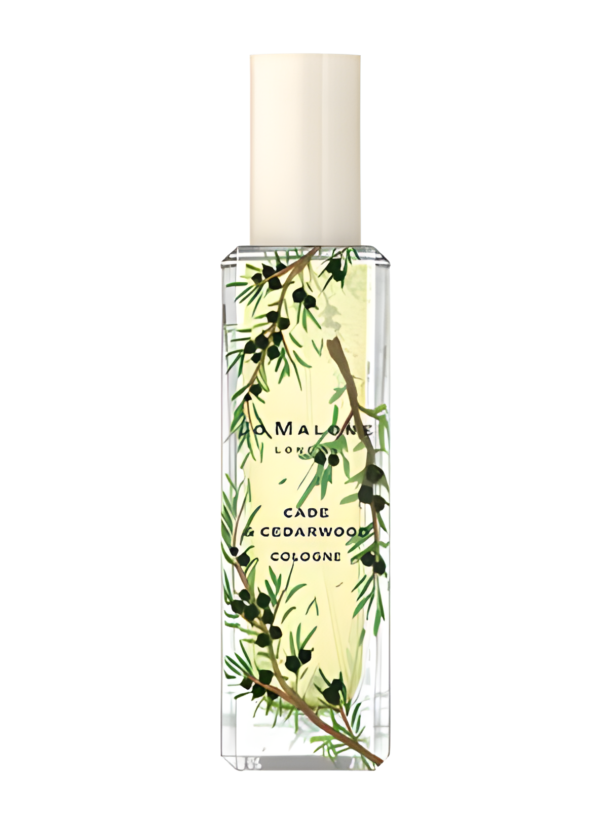 Cade & Cedarwood by Jo Malone London perfume bottle
