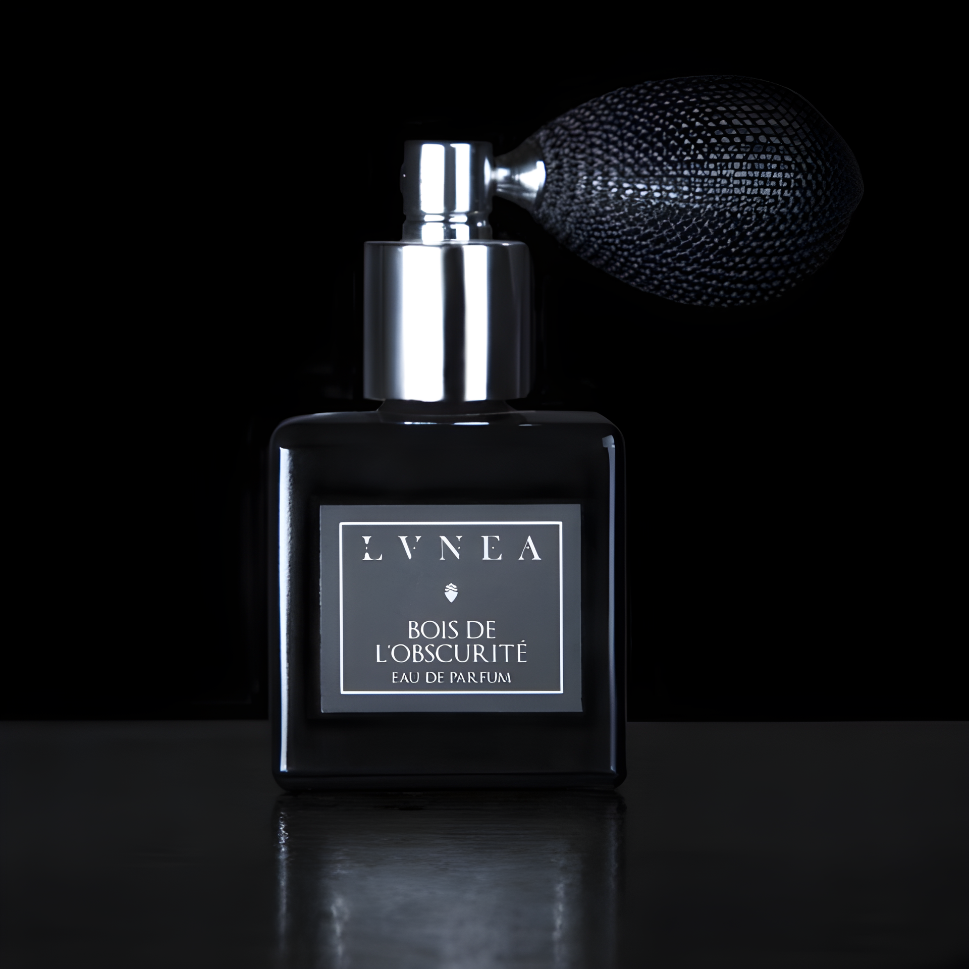 Bois de l'Obscurité by Lvnea perfume bottle
