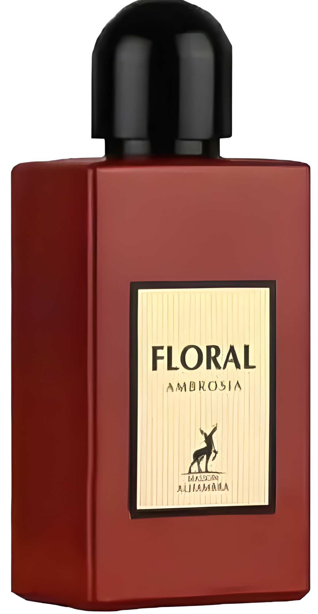 Floral Ambrosia by Maison Alhambra perfume bottle