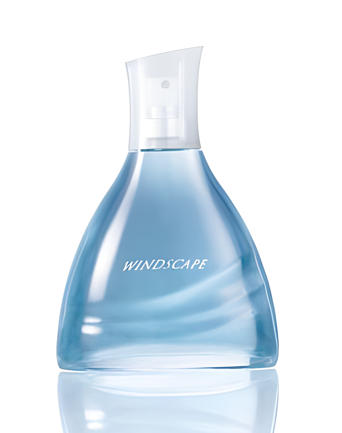 Windscape for Him by Avon perfume bottle