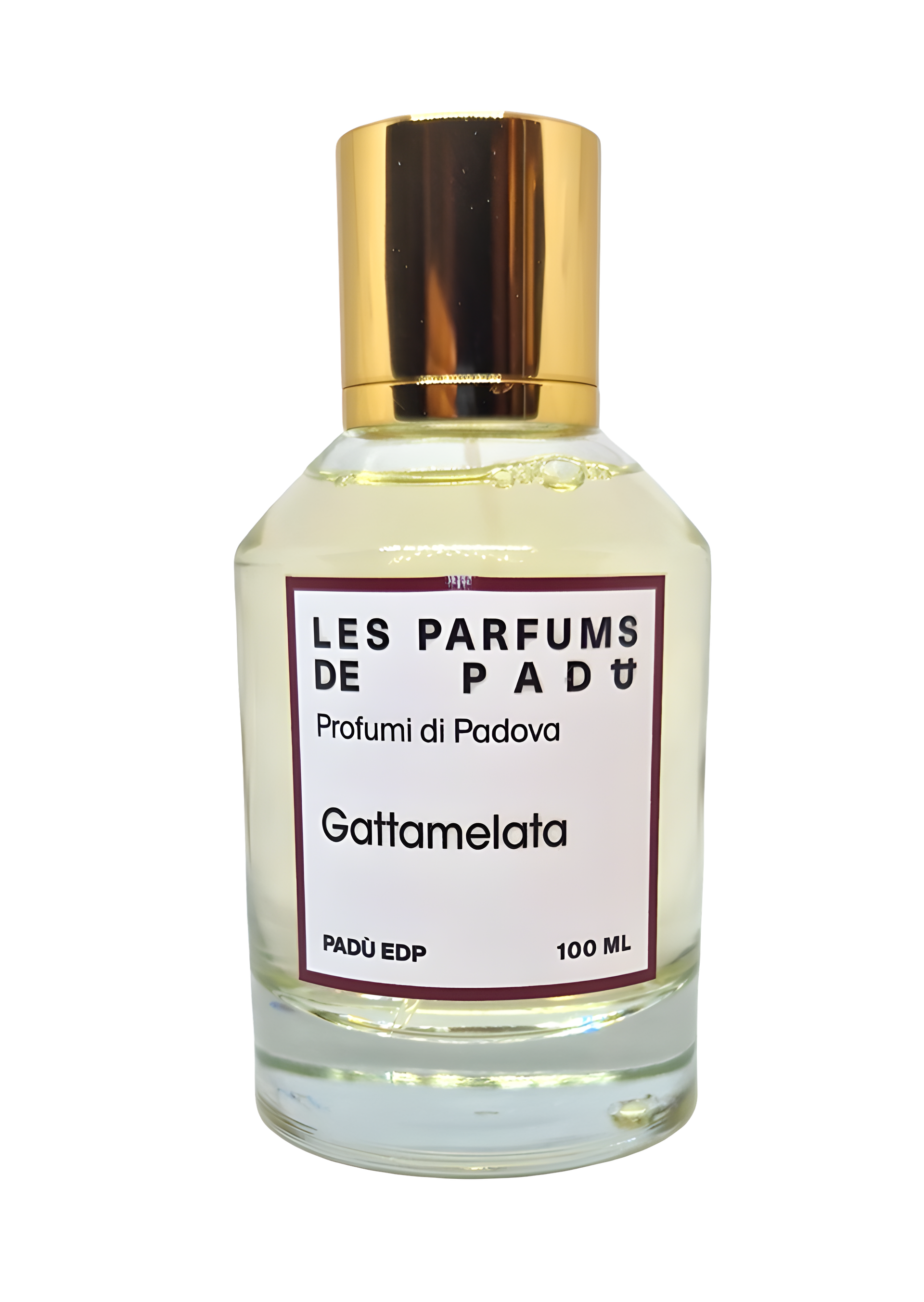 Gattamelata by Padù perfume bottle