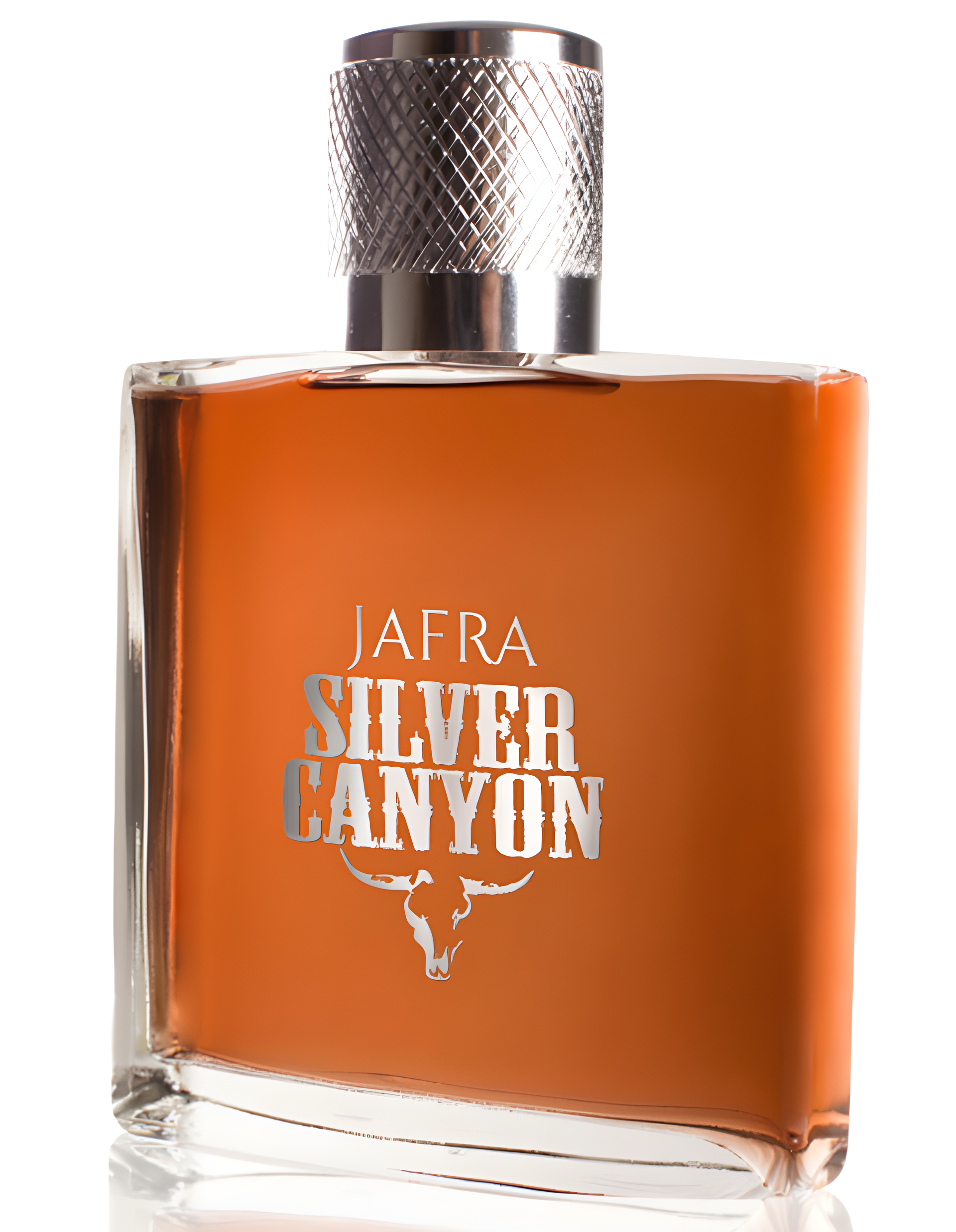 Silver Canyon by JAFRA perfume bottle